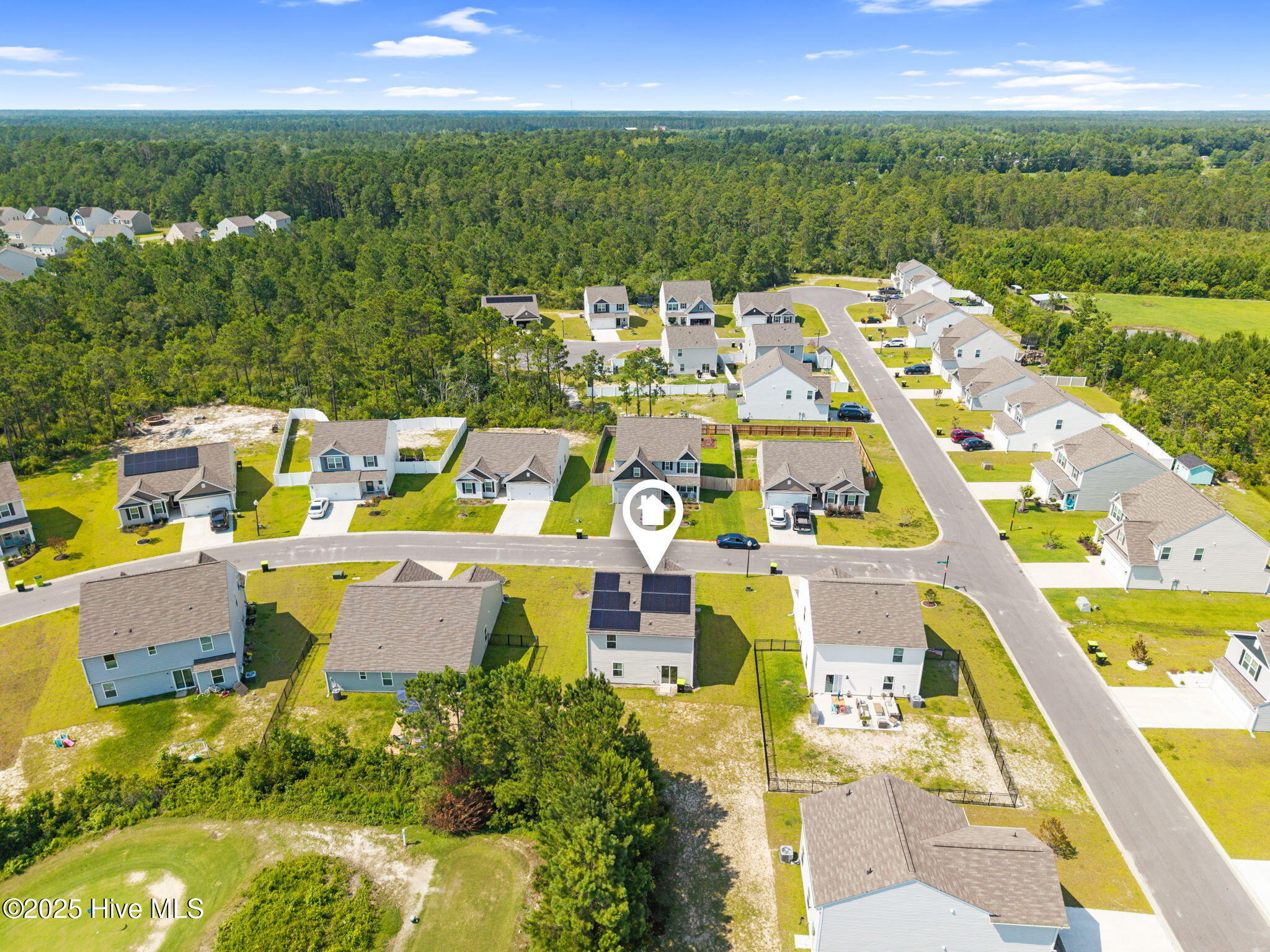 100515817 | Photo 31