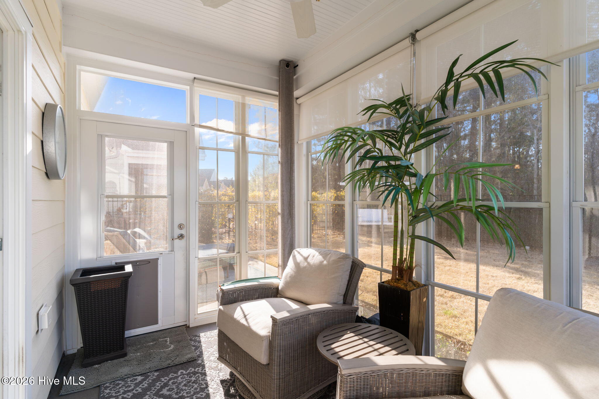 100557364 | Photo 36