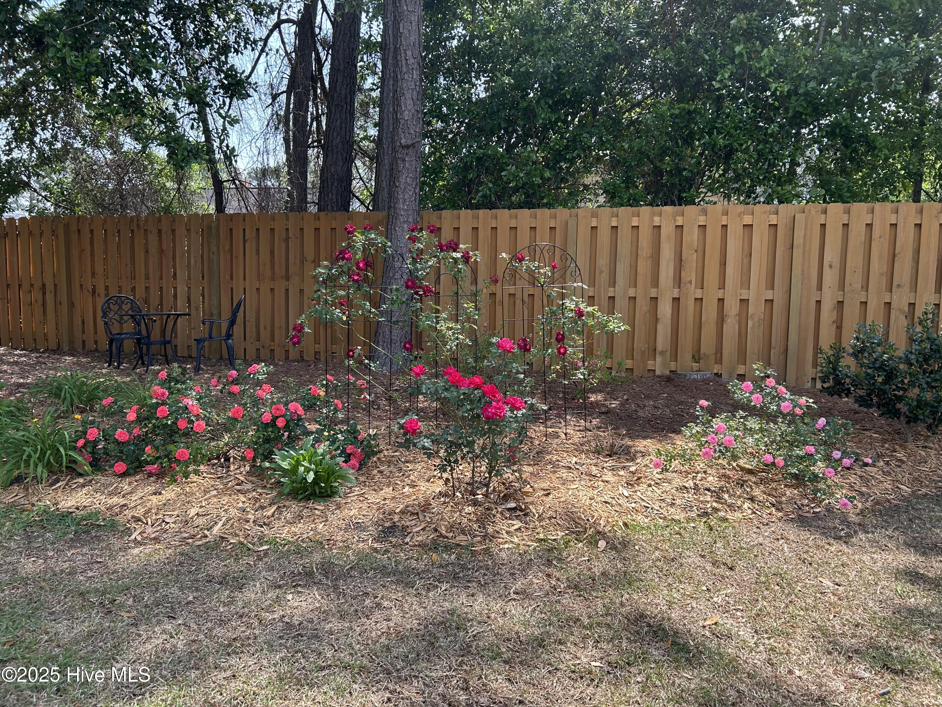 100545881 | Photo 36