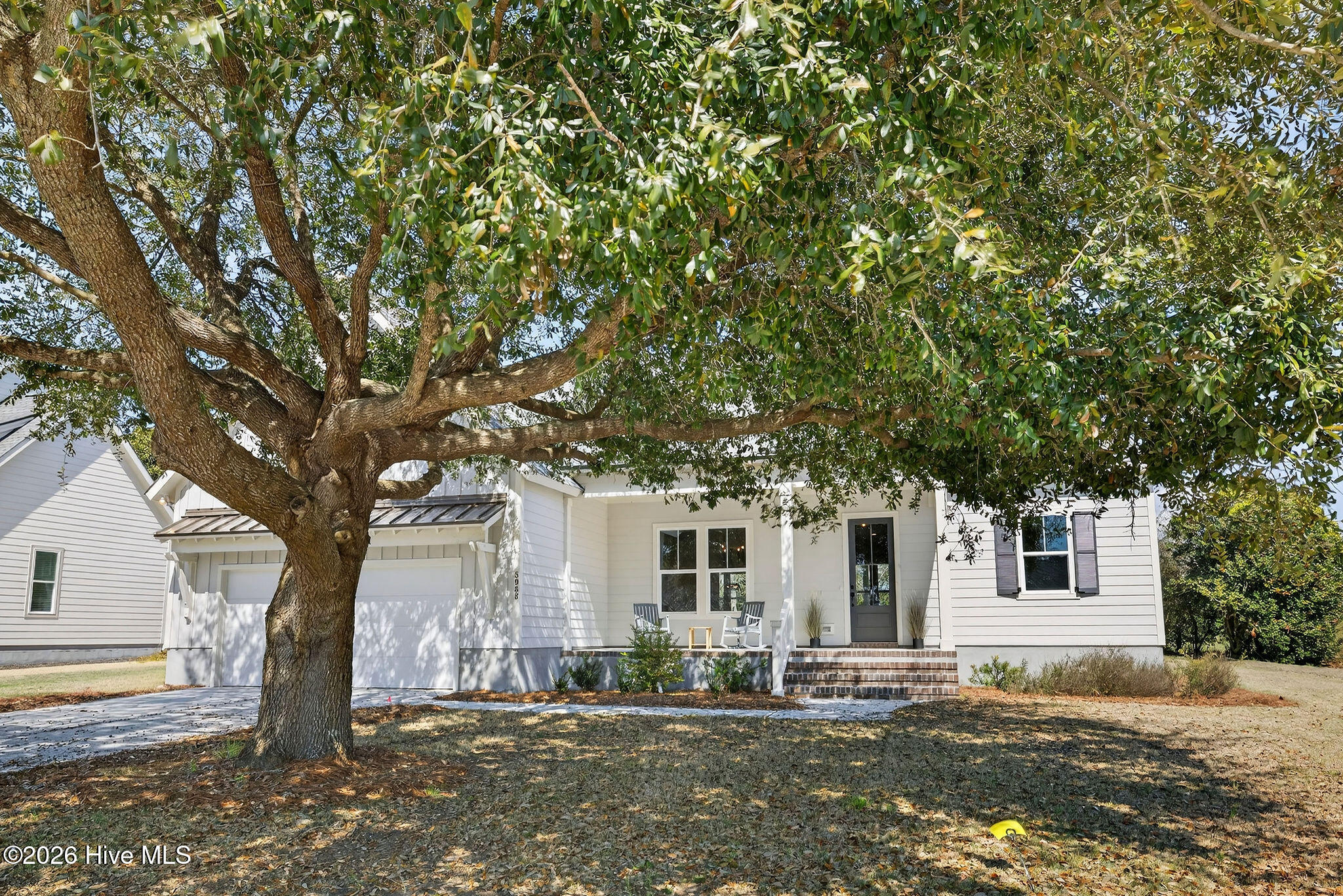 100560917 | Photo 53