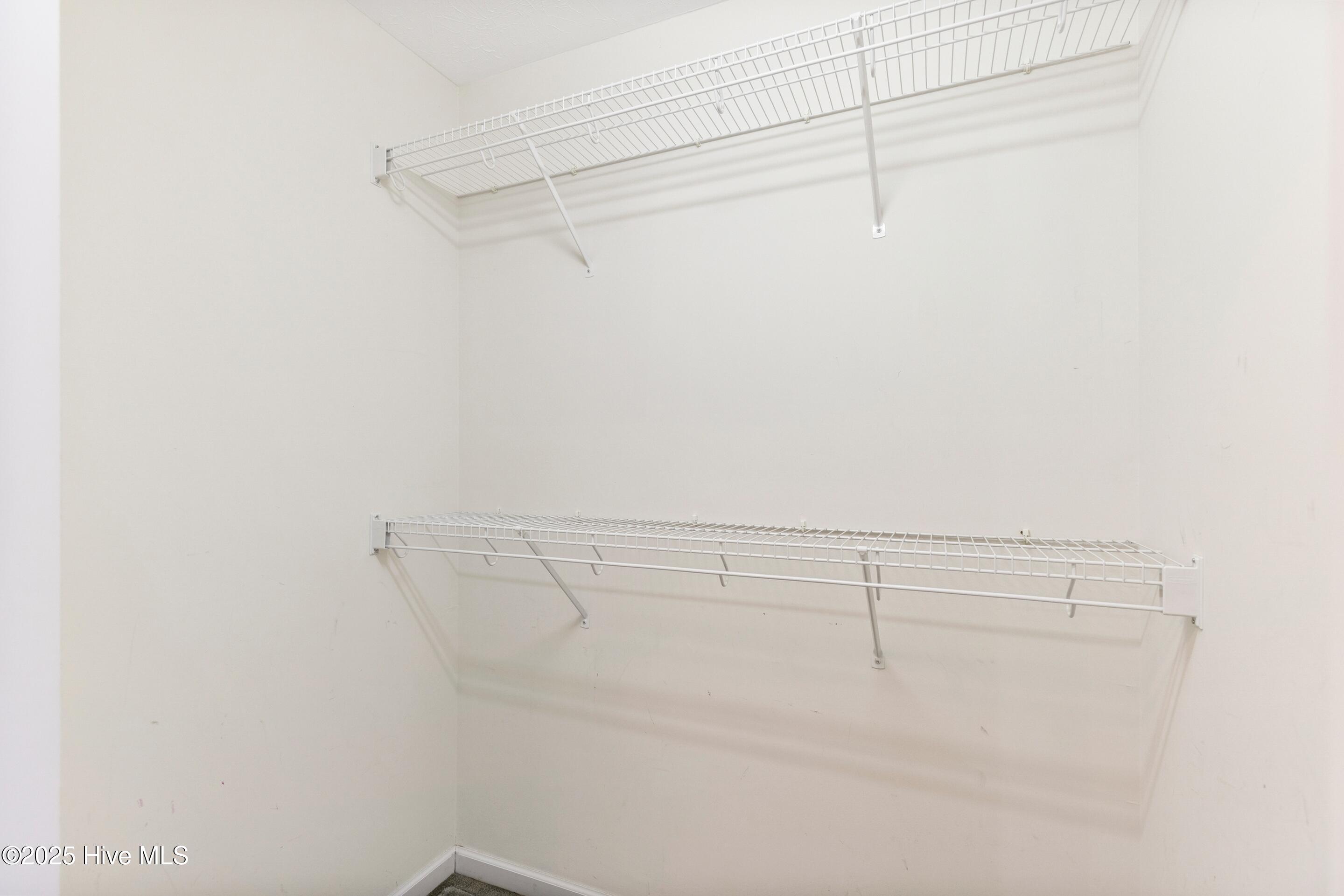 100539007 | Photo 19