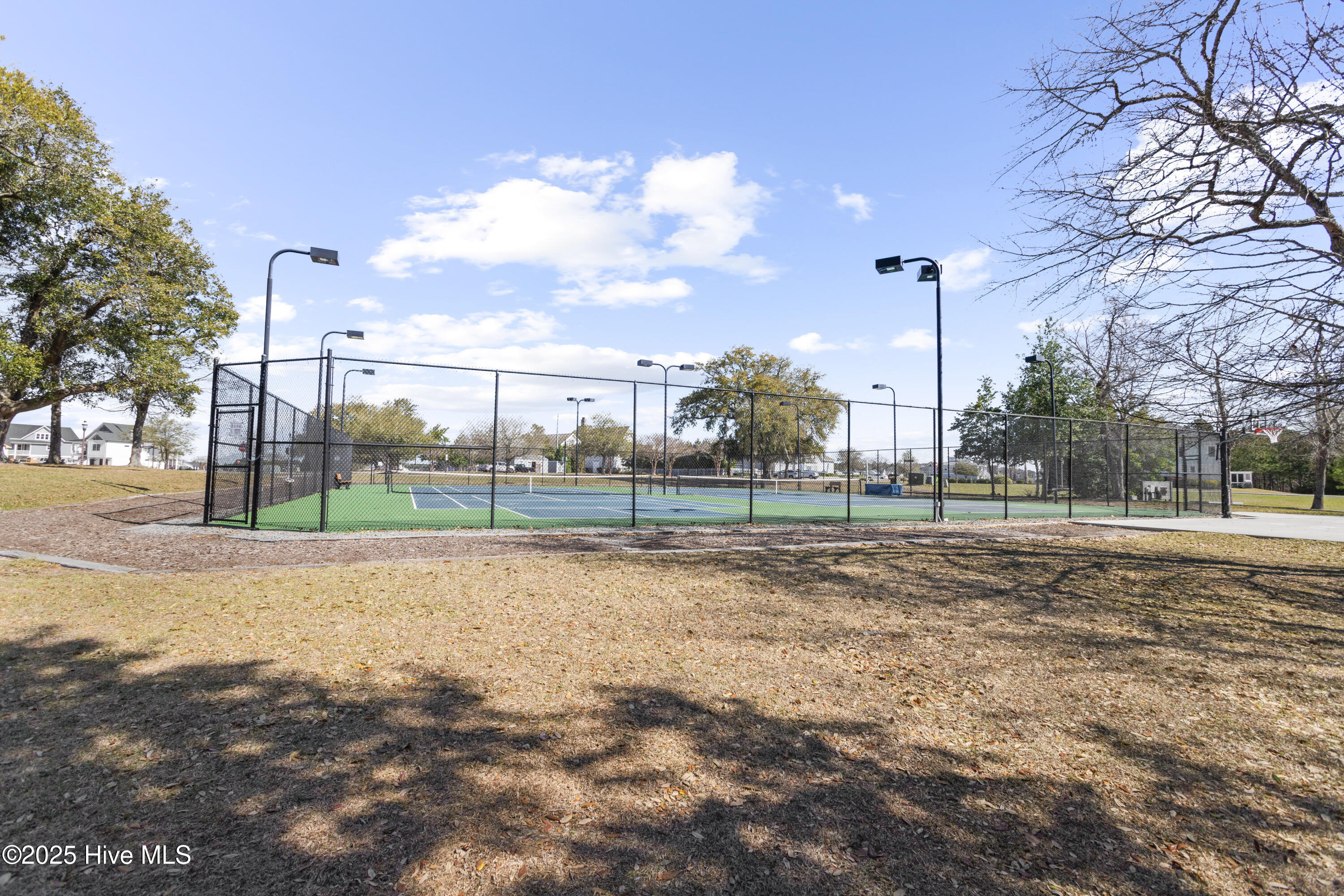 100519801 | Photo 32