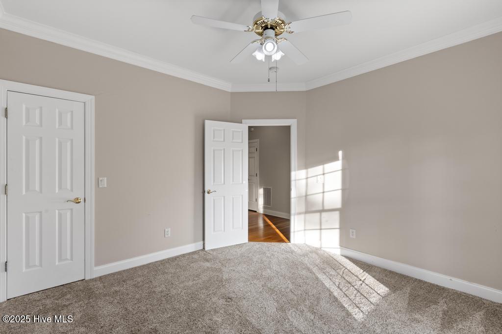 100516339 | Photo 41