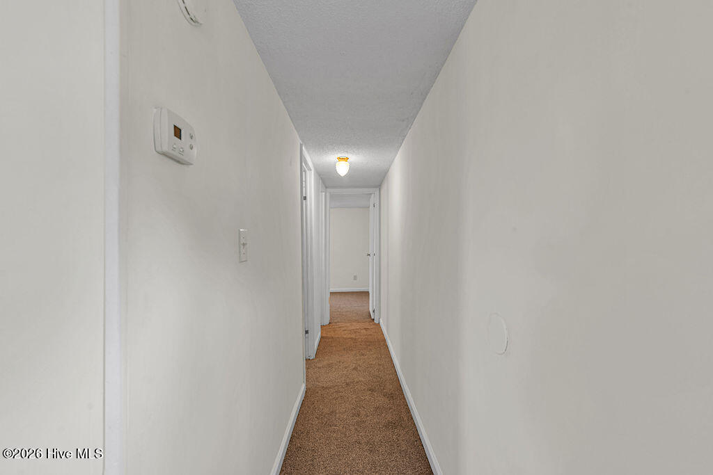 100558484 | Photo 17