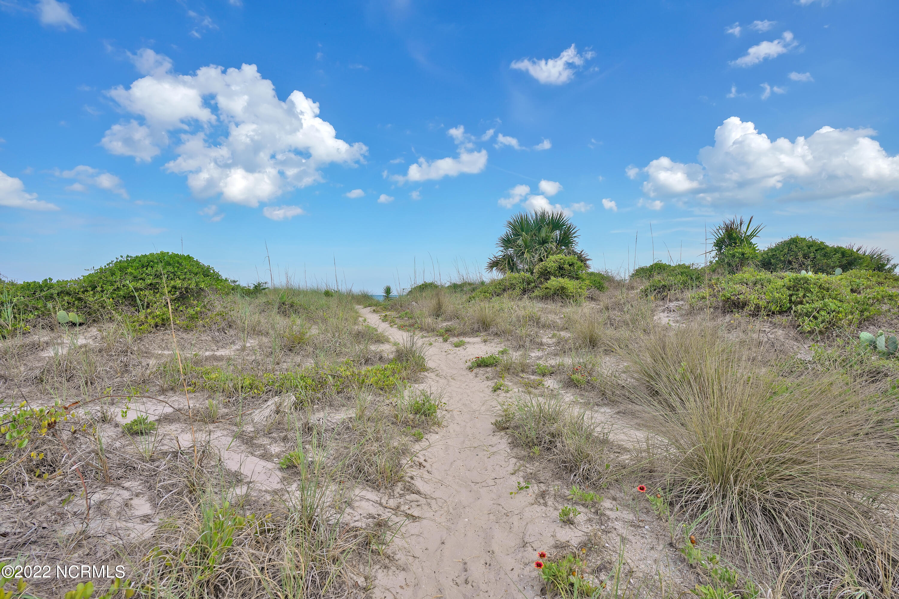 100462193 | Photo 76