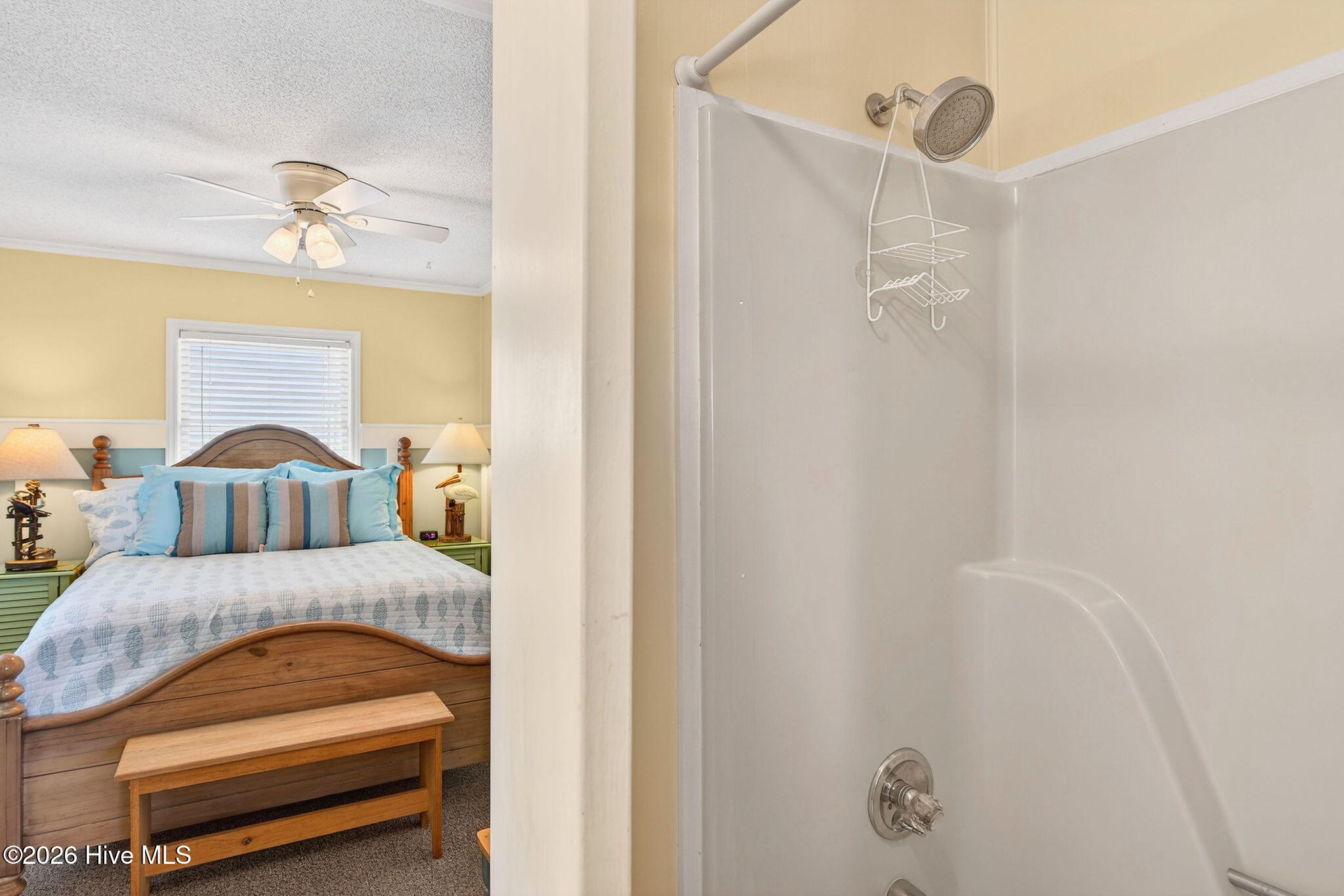 100554629 | Photo 32