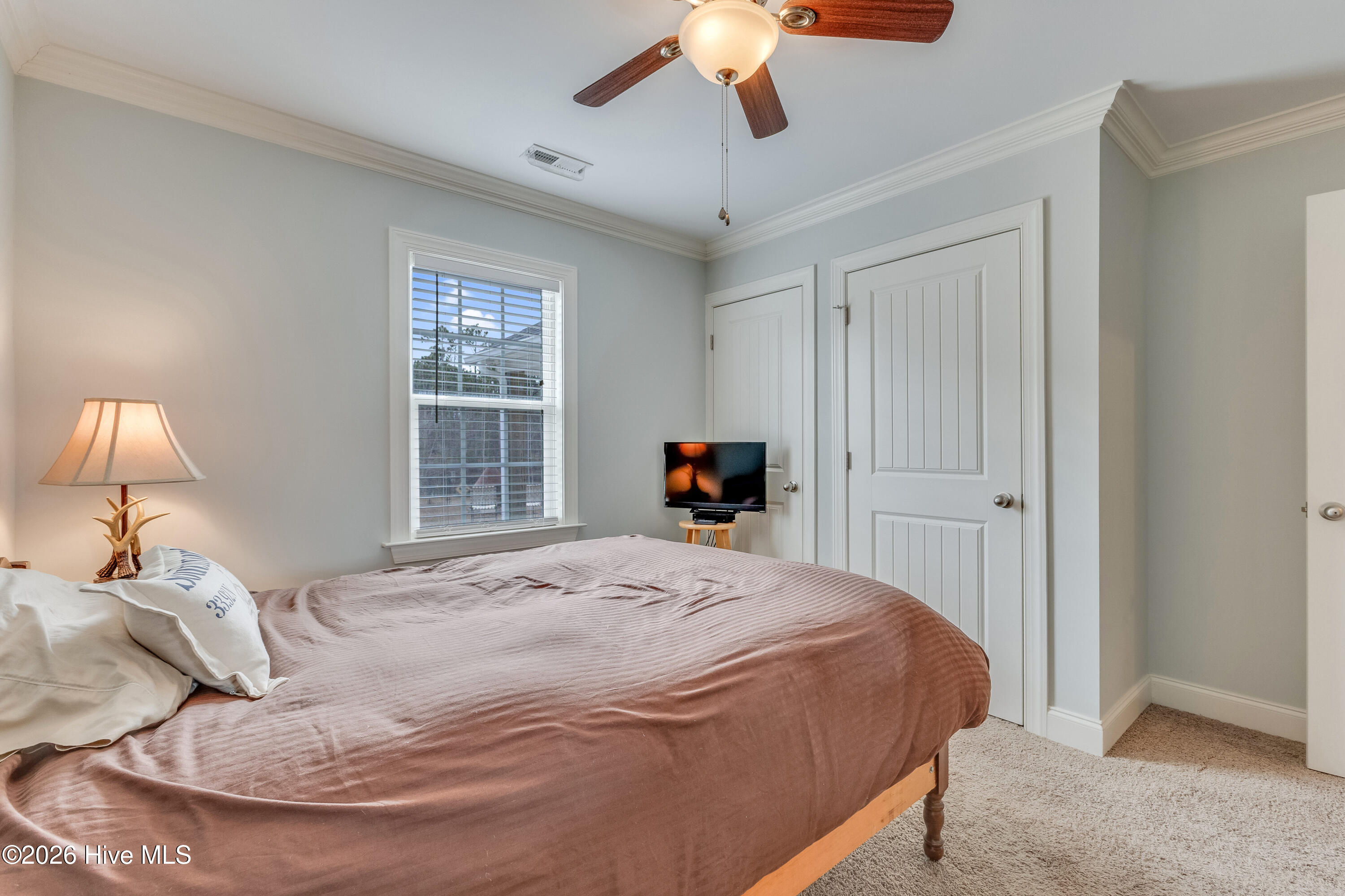 100551566 | Photo 24