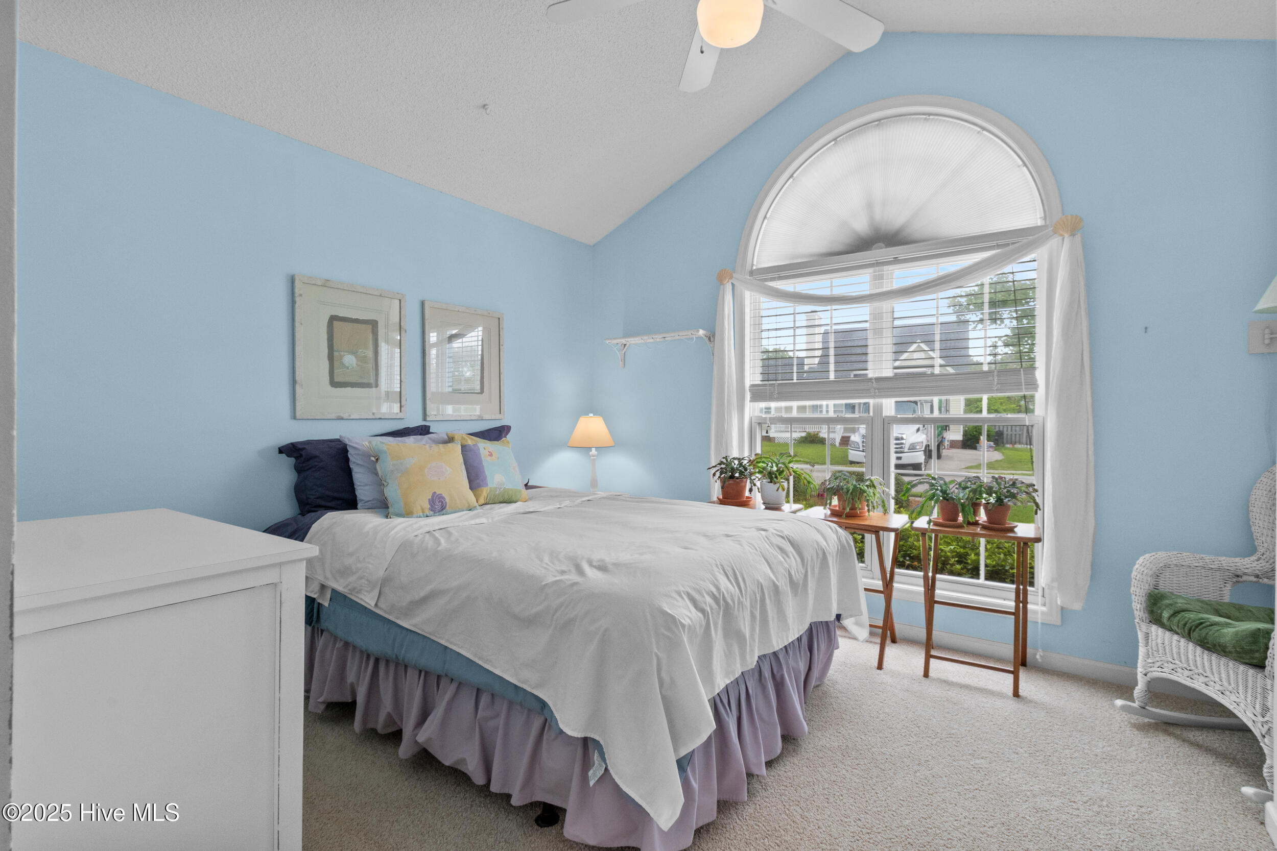 100518849 | Photo 13