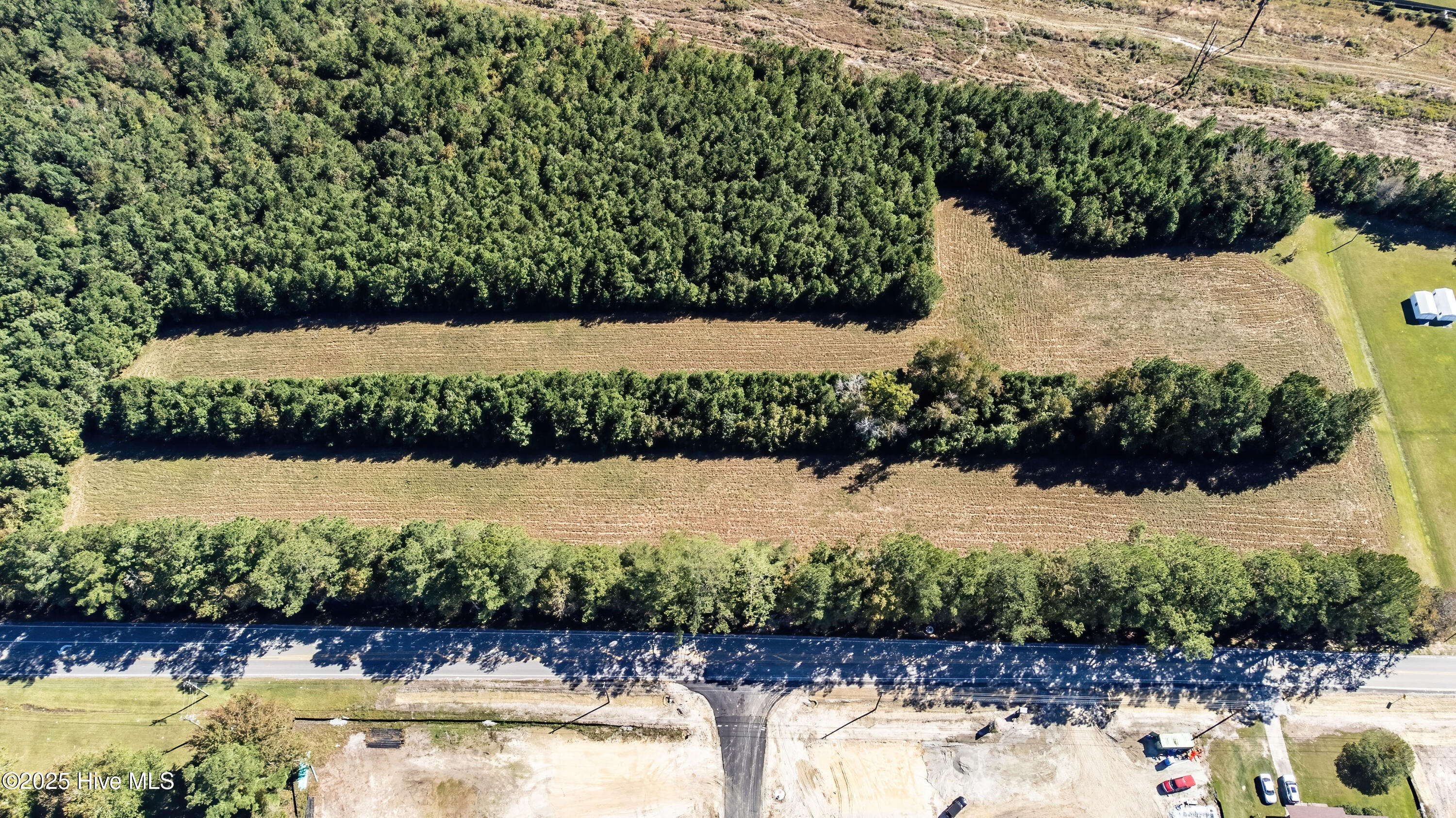 100202988 | Photo 20