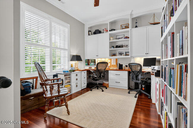 100527841 | Photo 10