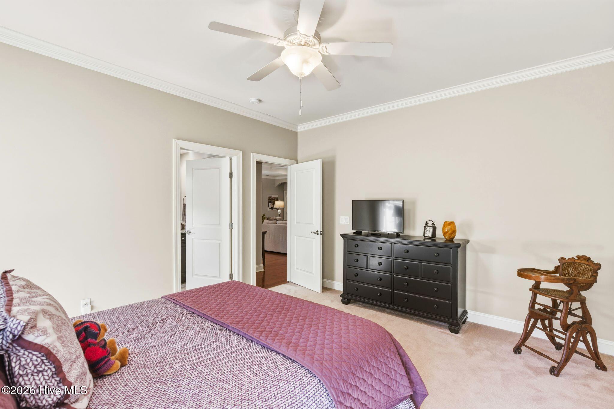 100564432 | Photo 79