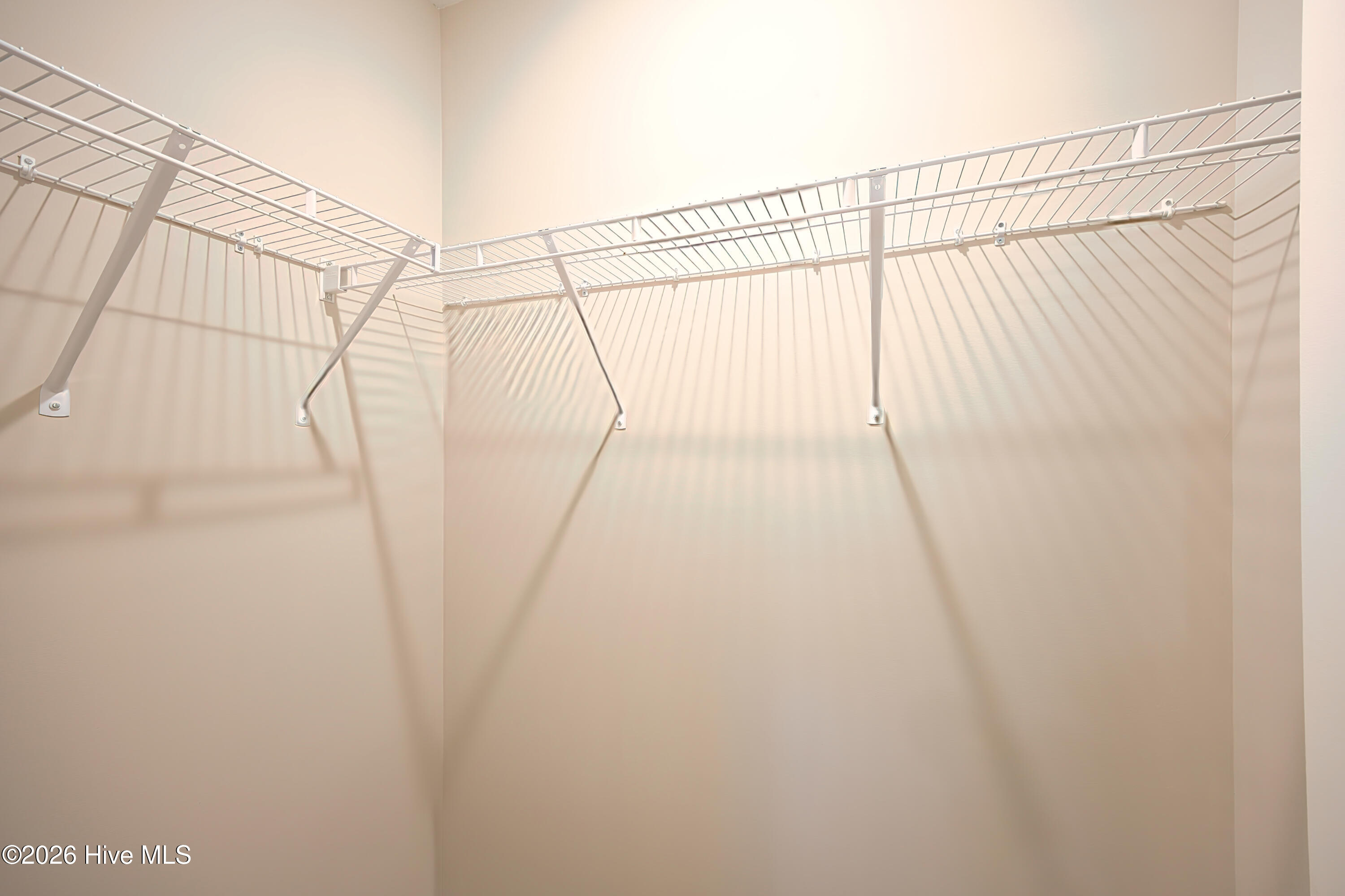 100572028 | Photo 25