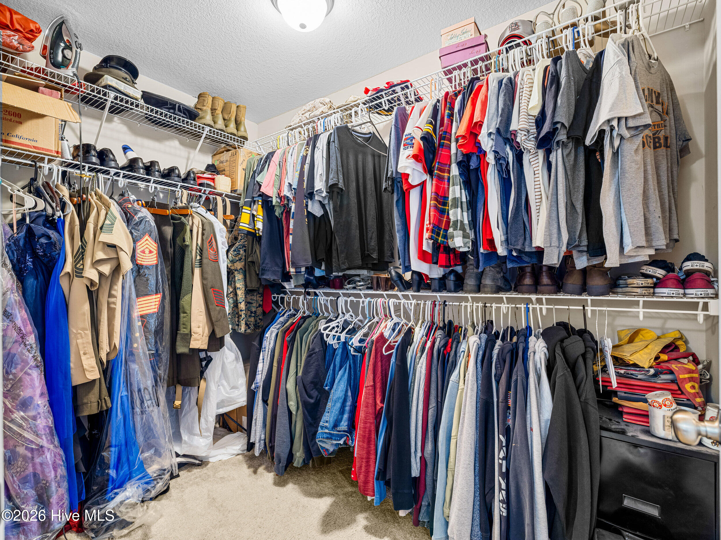 100568044 | Photo 32