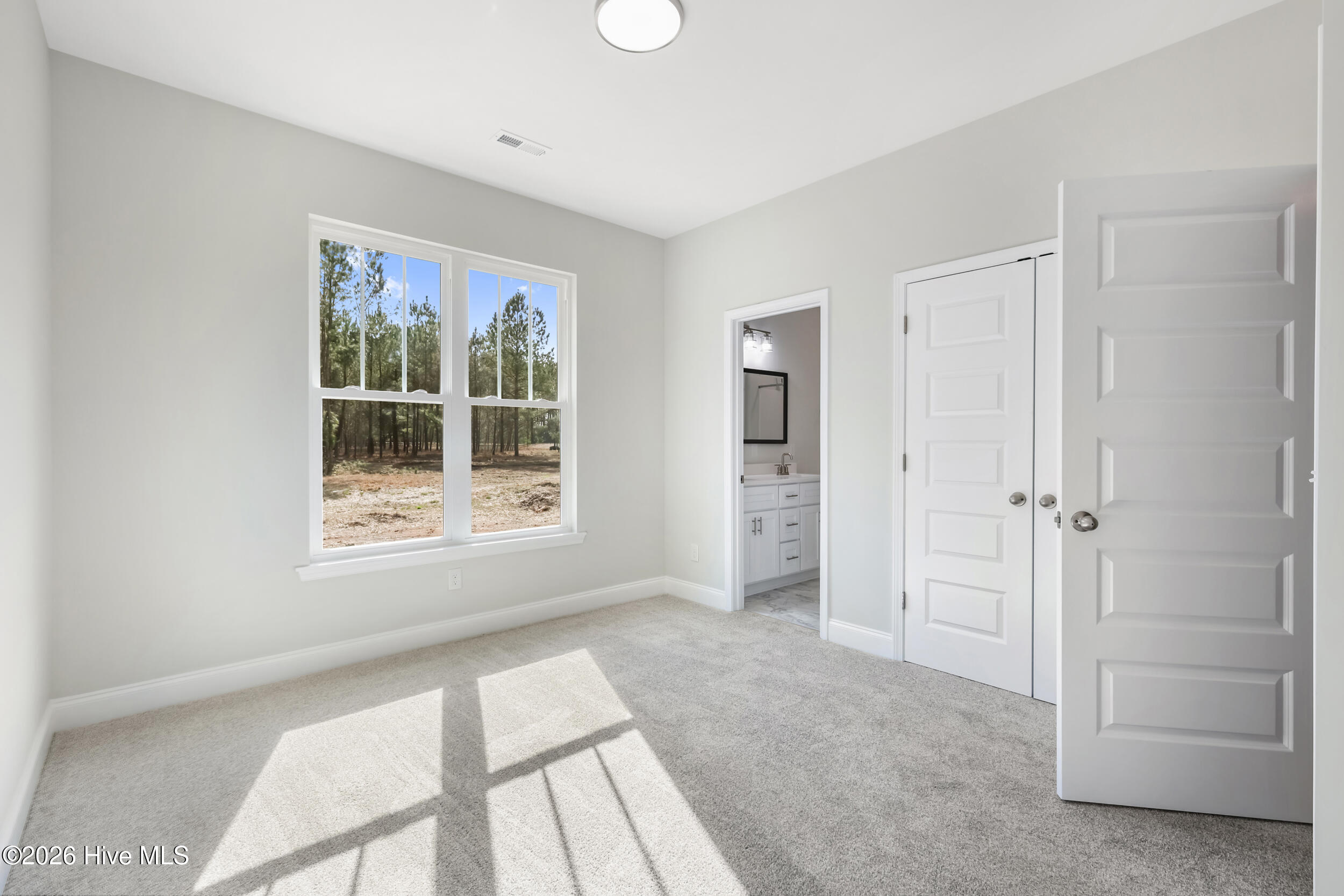 100558641 | Photo 14