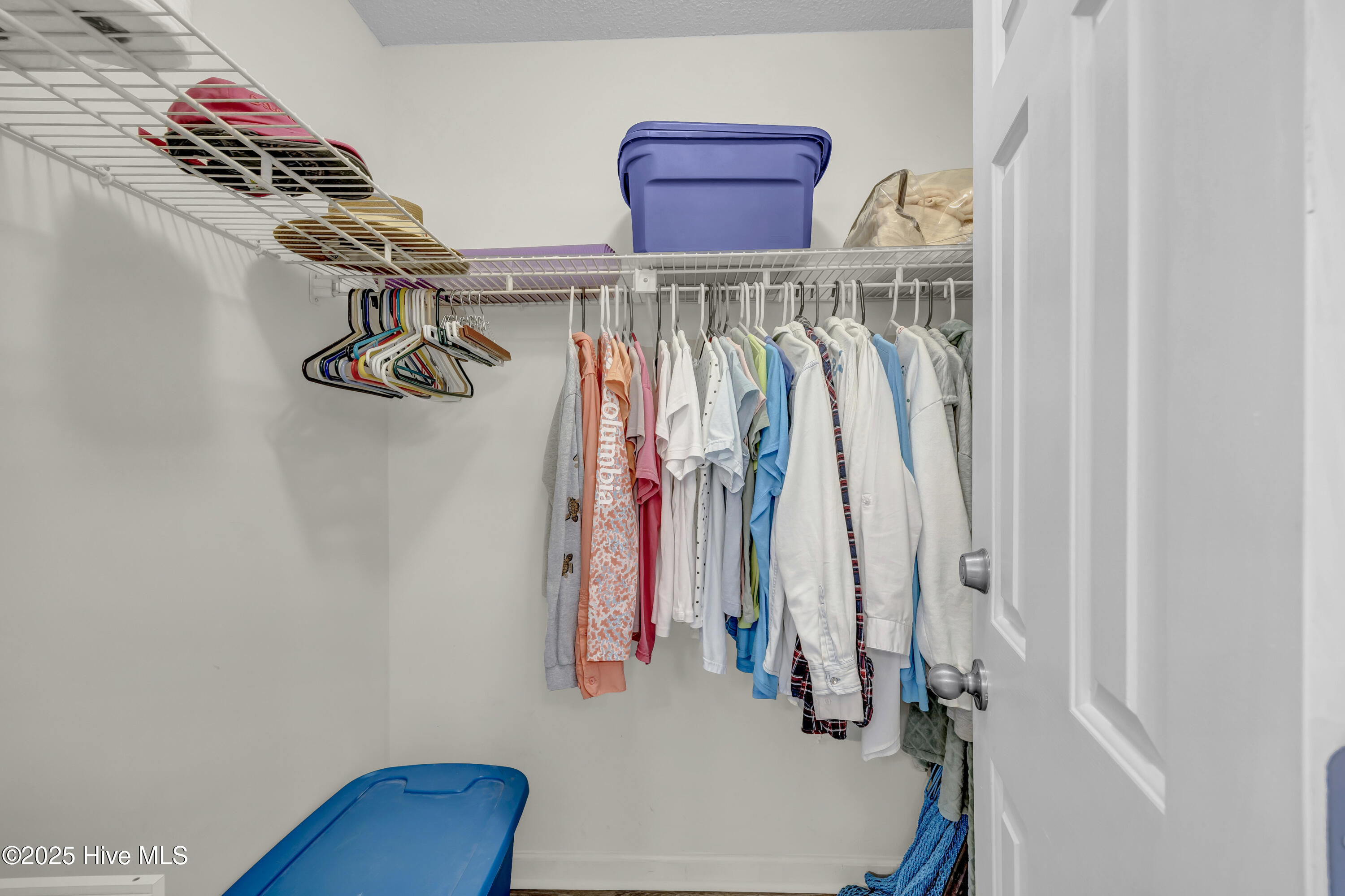 100533444 | Photo 24