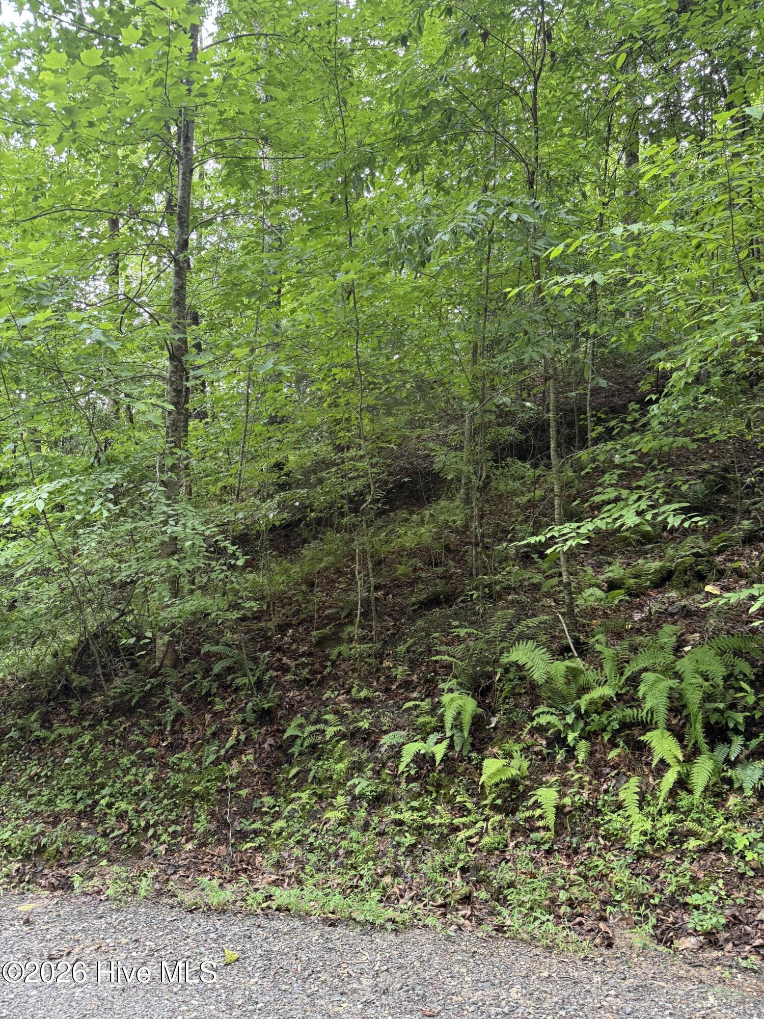 Homes for sale in Topton, NC | Lot 8 Vista Loop Road Road, Topton, NC 28781 | MLS# 100589869