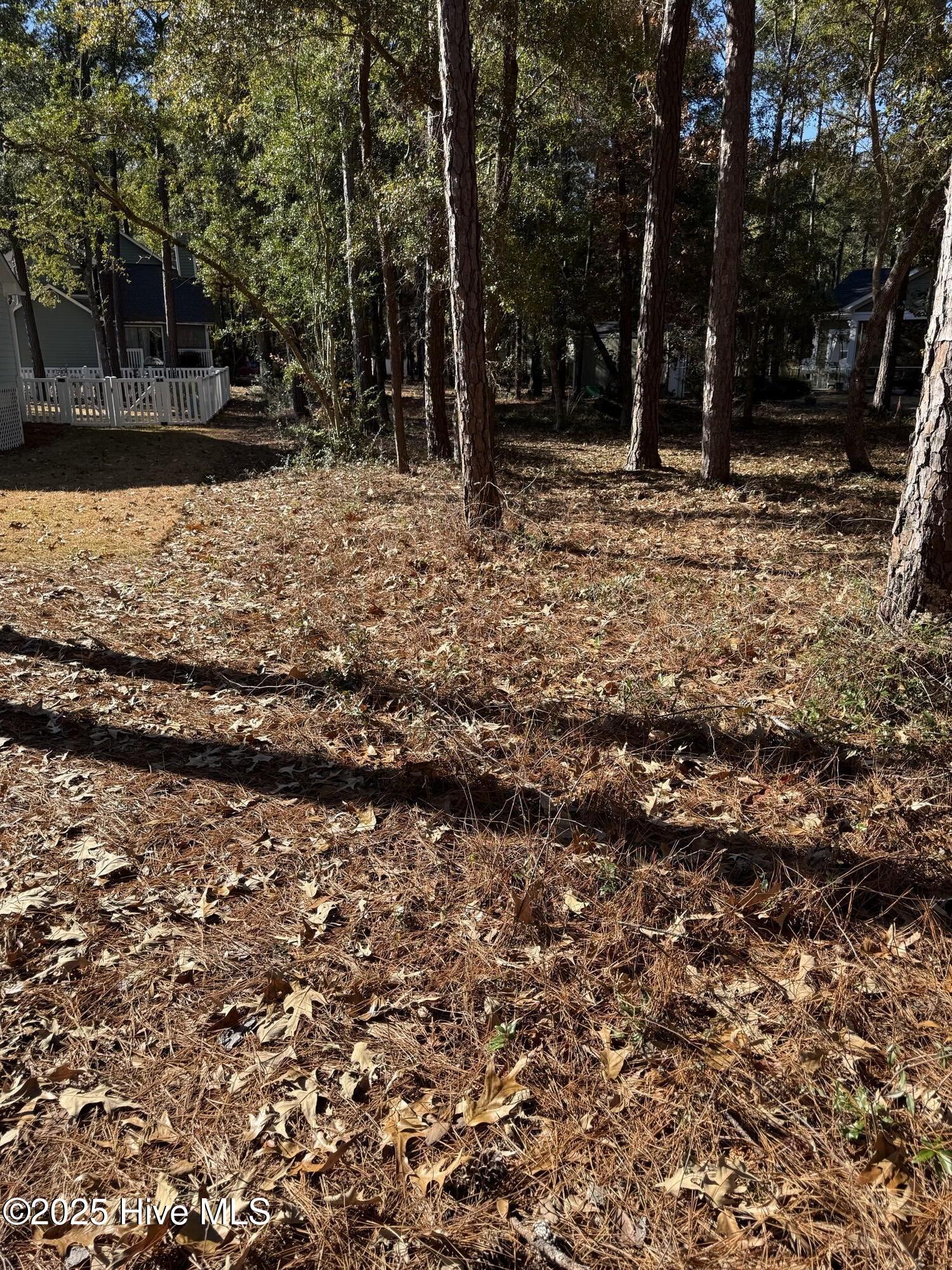 100546406 | Photo 11