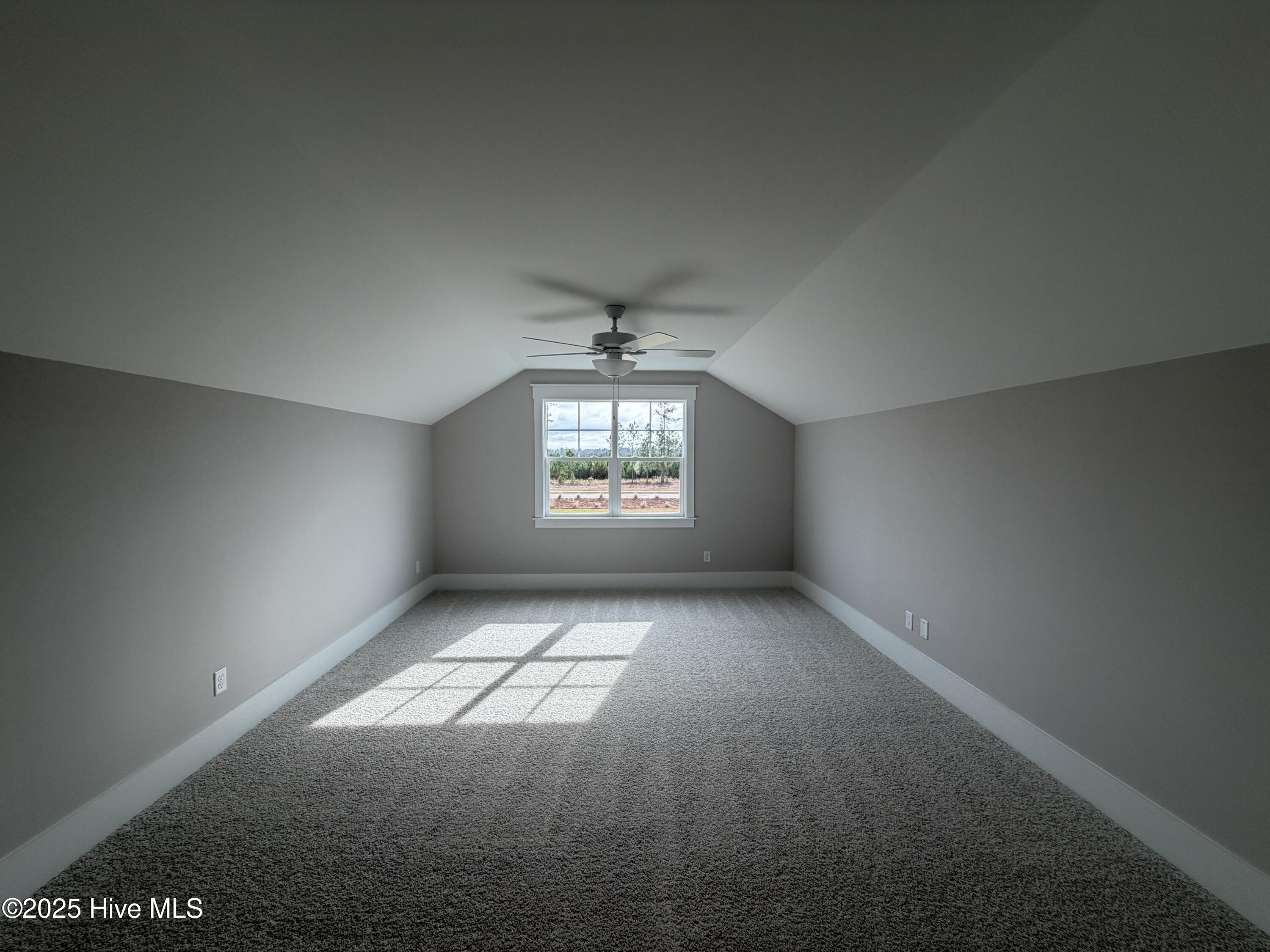 100531955 | Photo 34