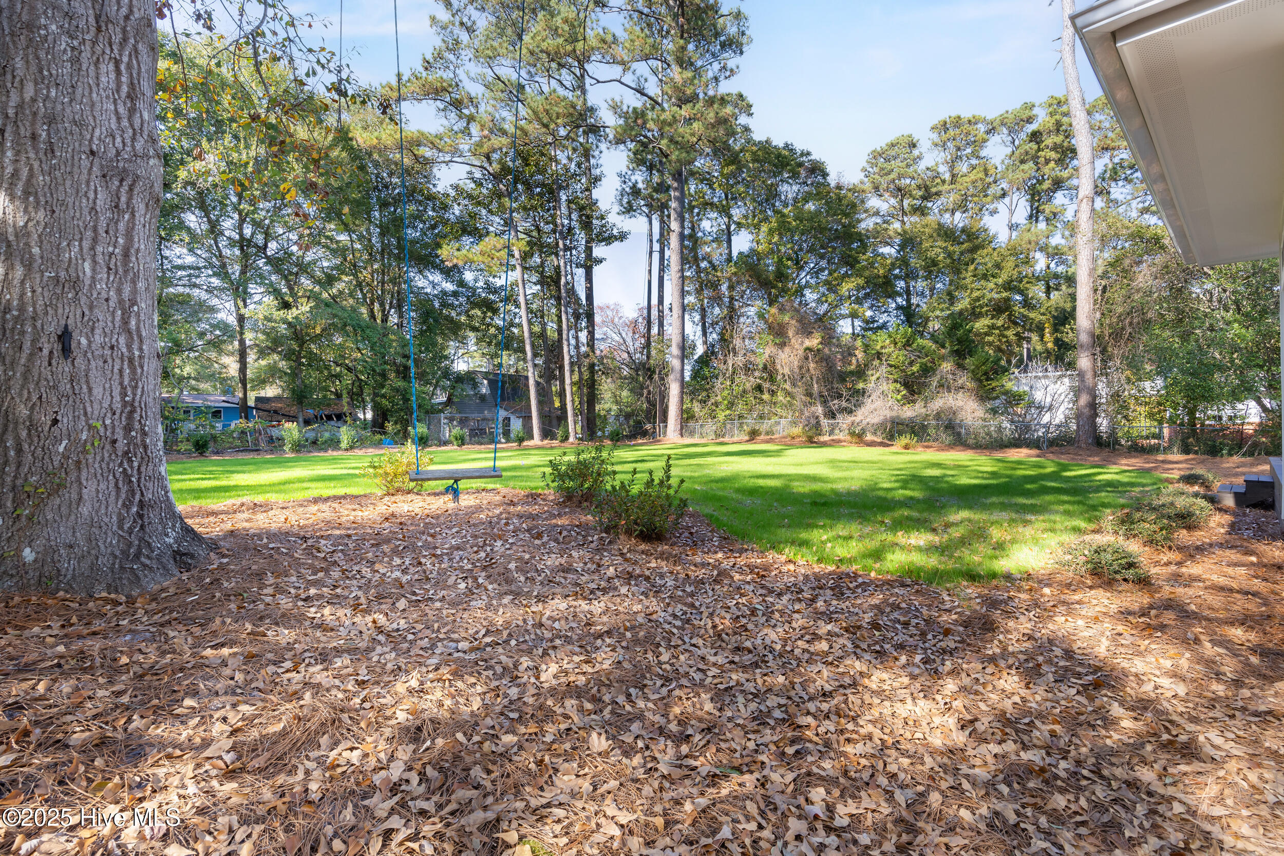 100544279 | Photo 30