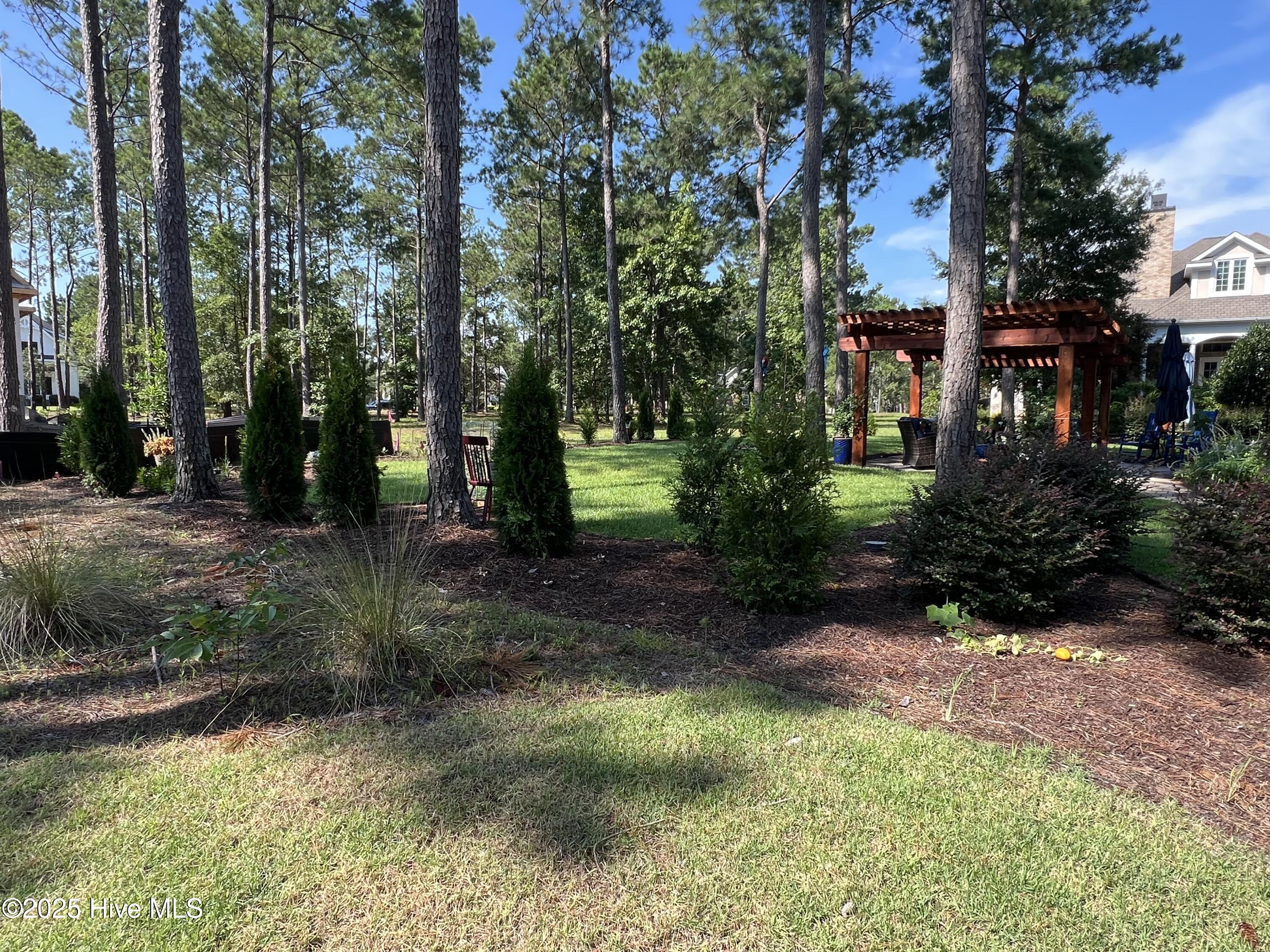 100518368 | Photo 99