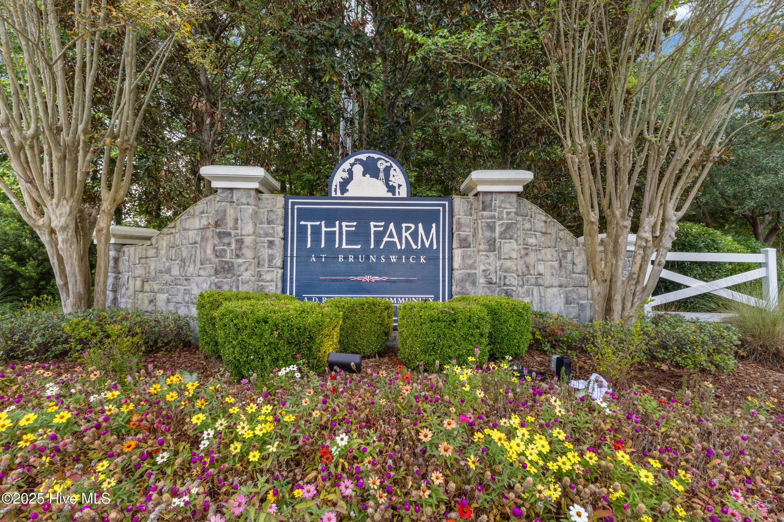 100532546 | Photo 32