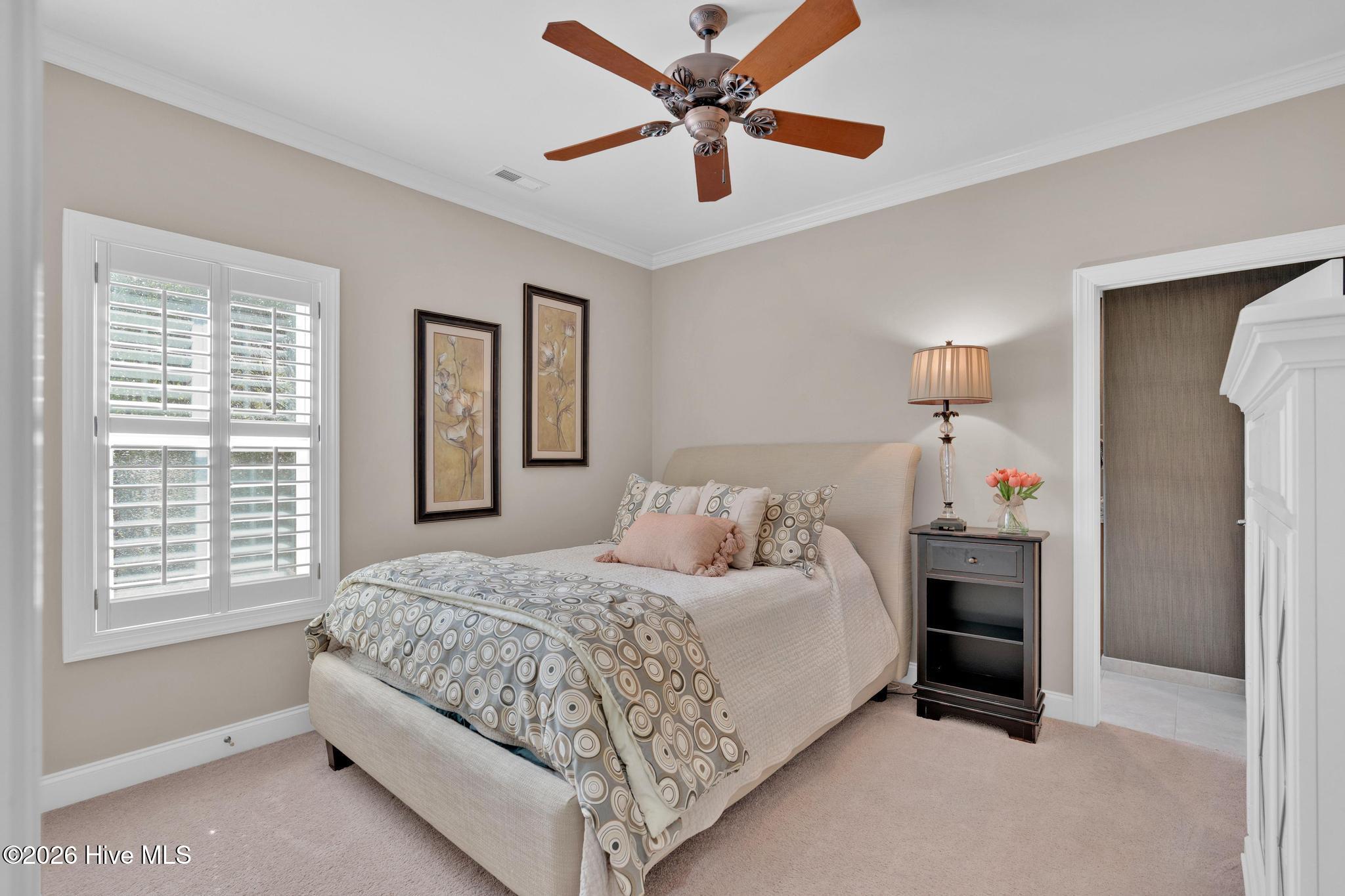 100559631 | Photo 32