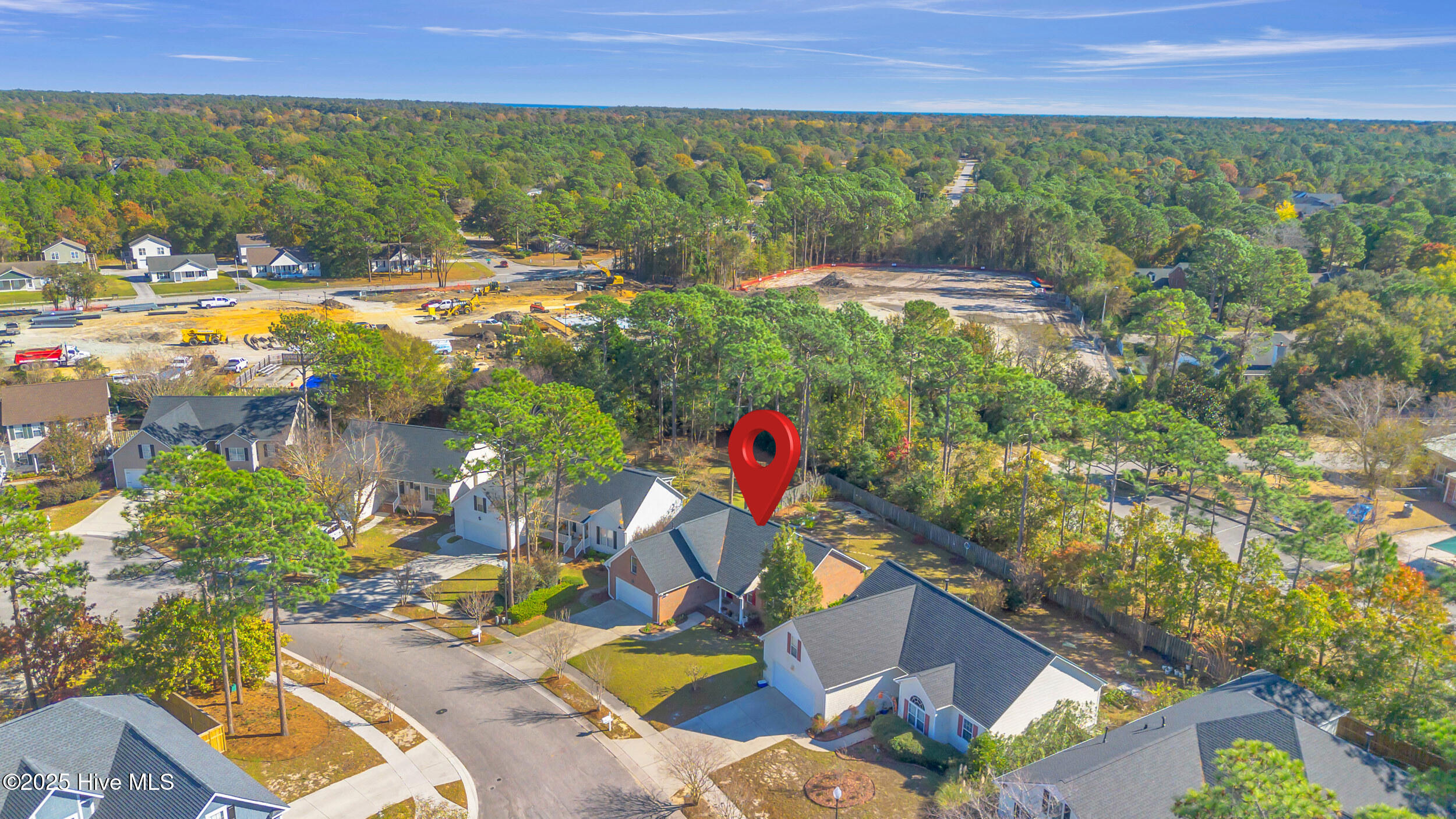 100540871 | Photo 35