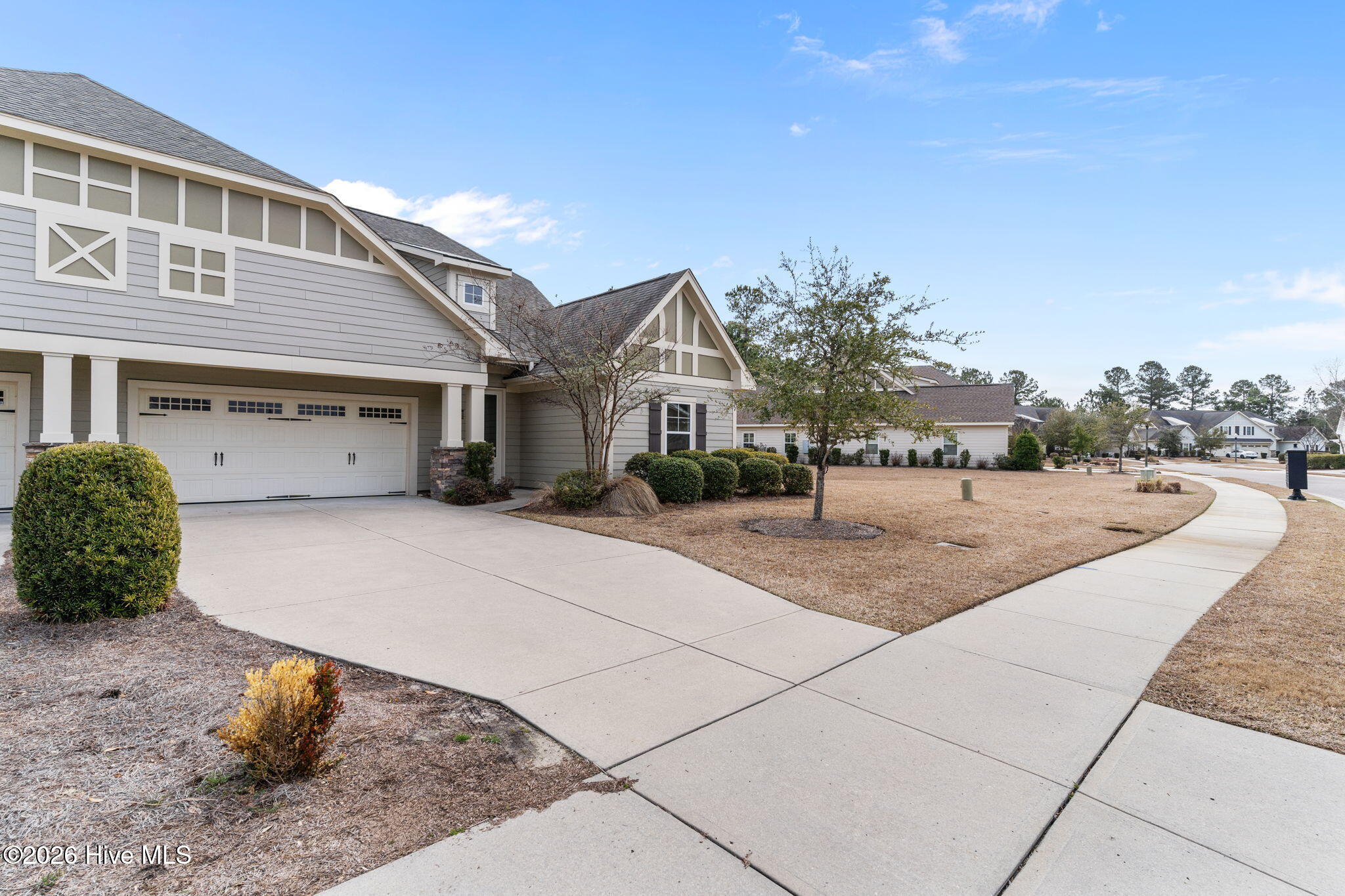 100558174 | Photo 40