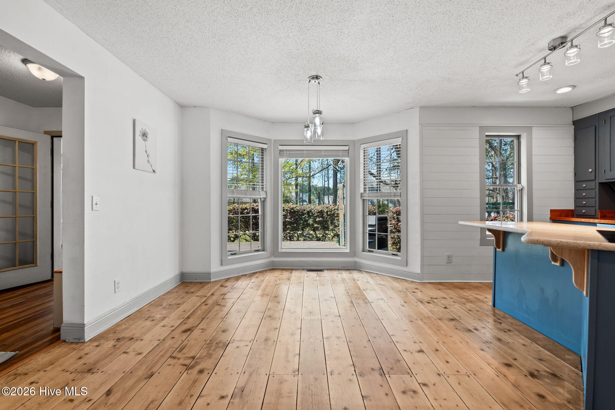 100564721 | Photo 13