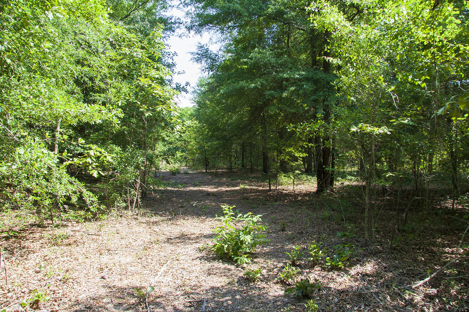 1515C HEPHZIBAH - MCBEAN Road, Hephzibah, GA, 30815