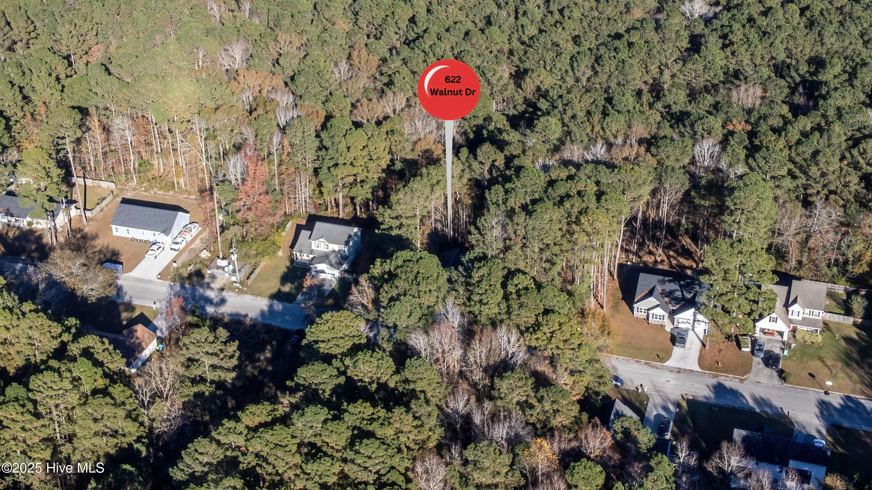 100538278 | Photo 57