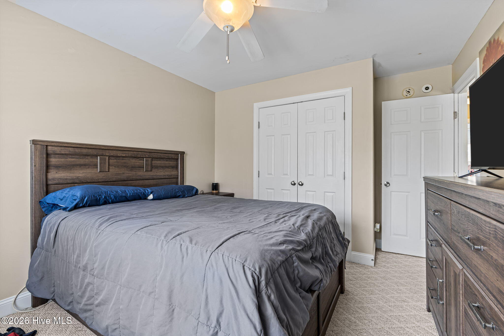 100563146 | Photo 24