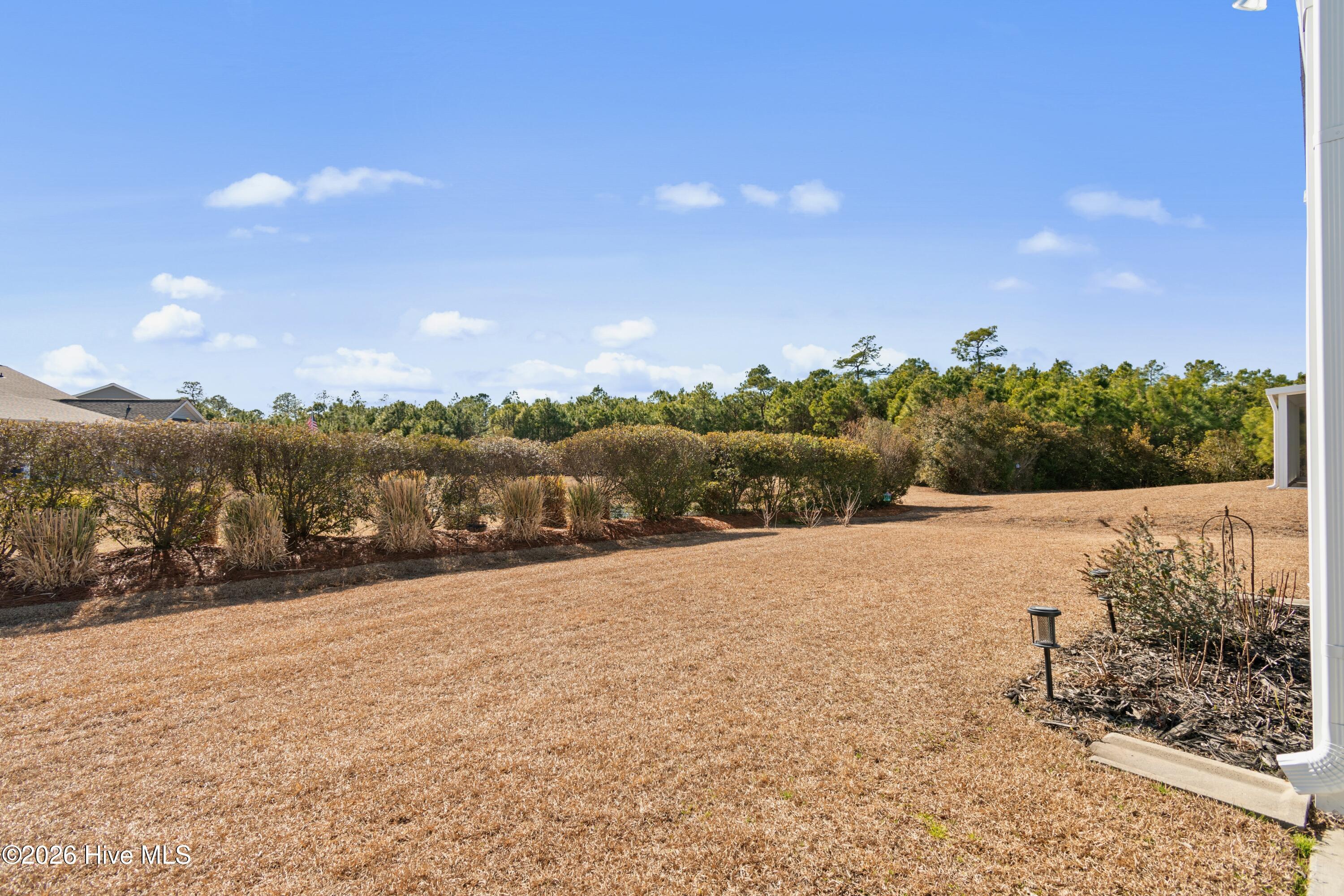 100555351 | Photo 33