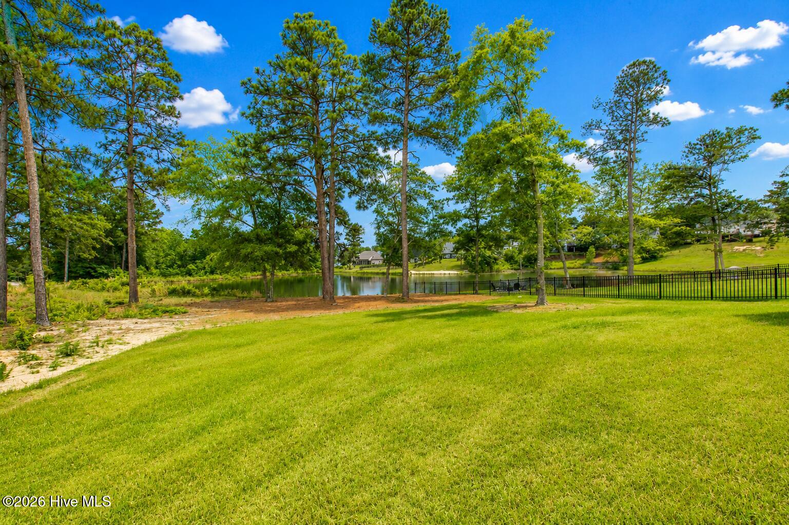Backyard!