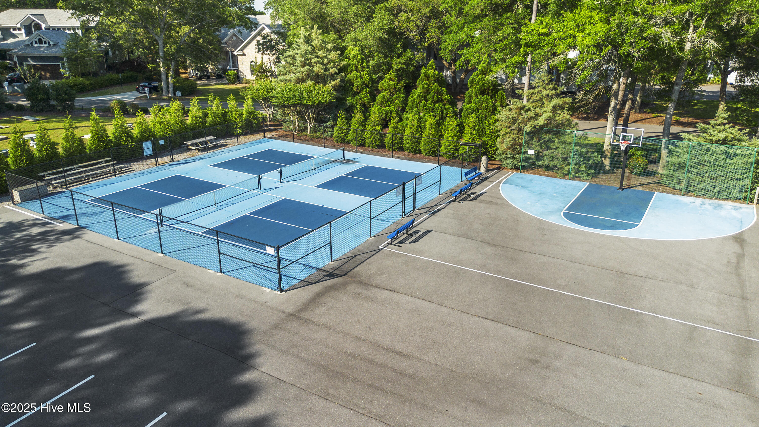 100533806 | Photo 41