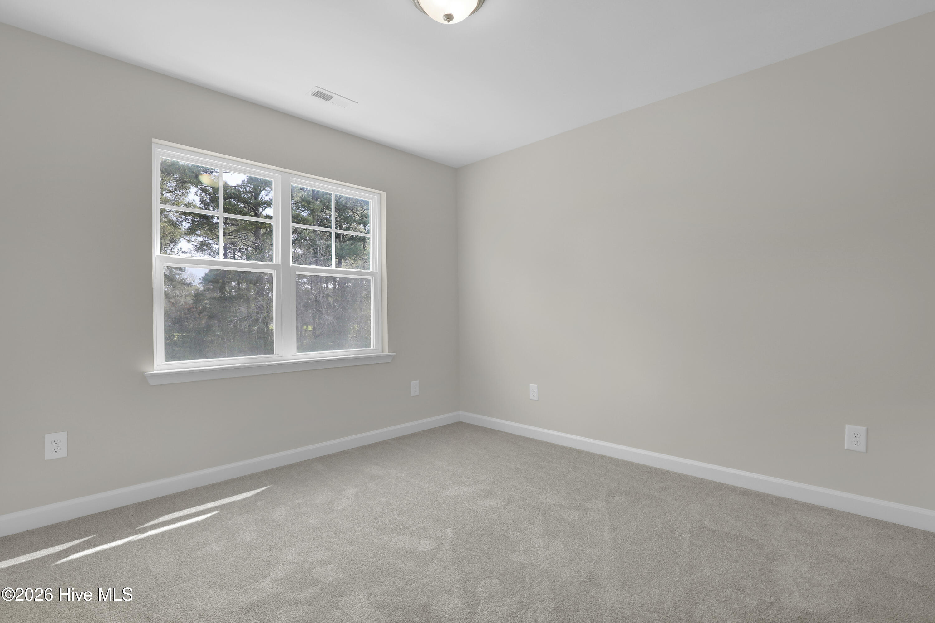 100488784 | Photo 23