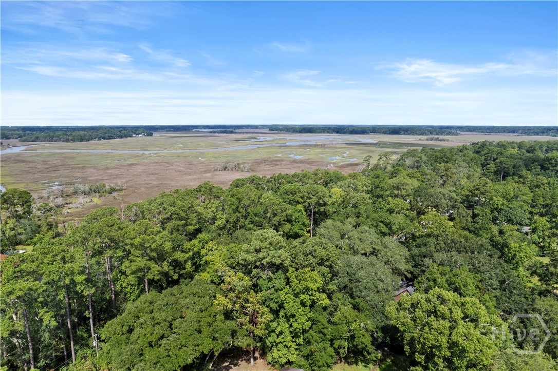 40th image of 641 Tideland Dr, Midway, GA 31320 | MLS# SA359384