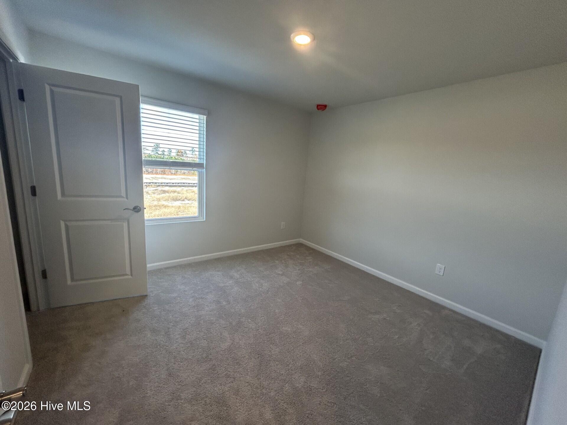 100535970 | Photo 18