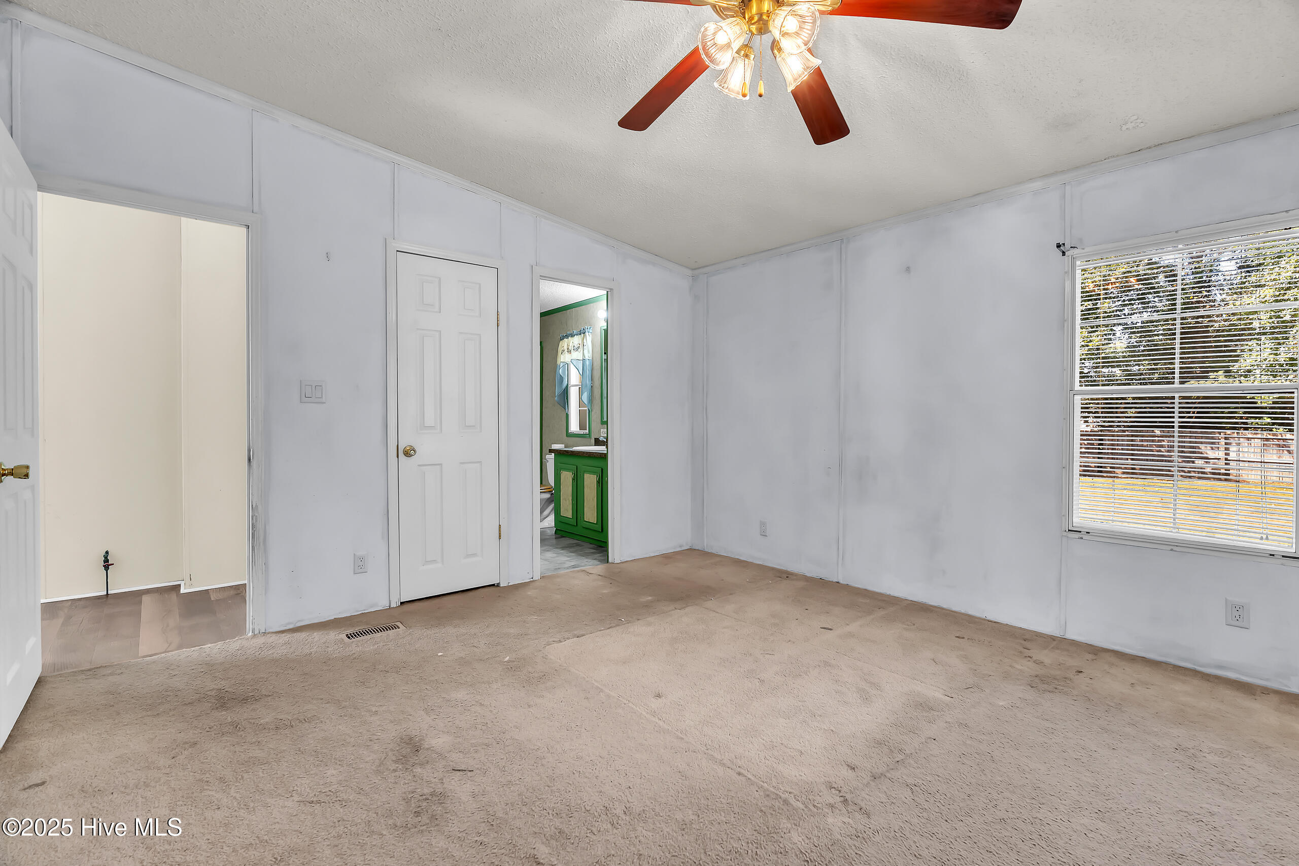 100538064 | Photo 20