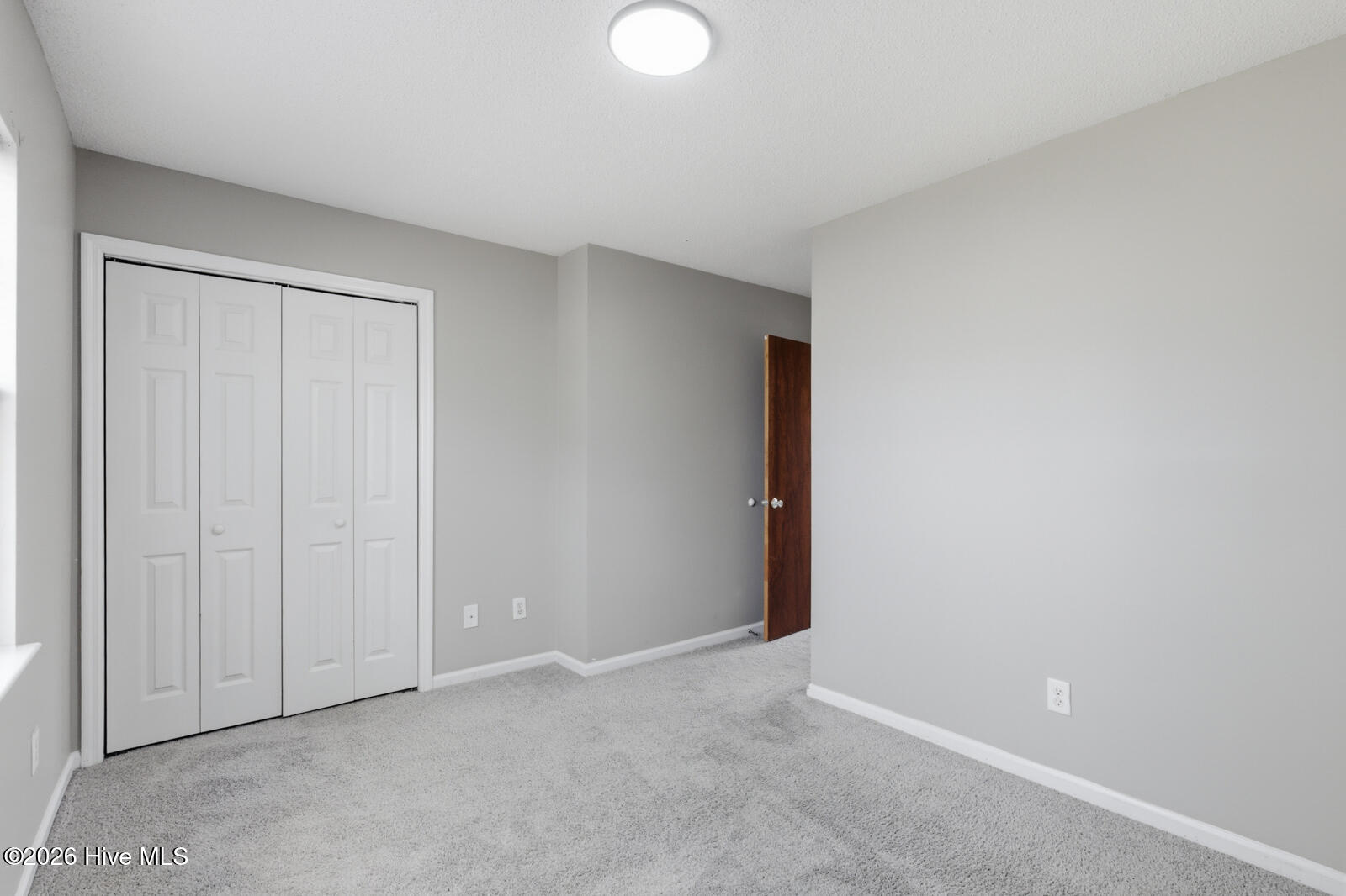 100568263 | Photo 12