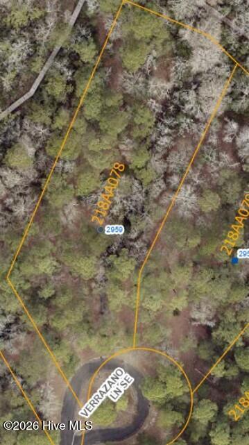 100567227 | Photo 11