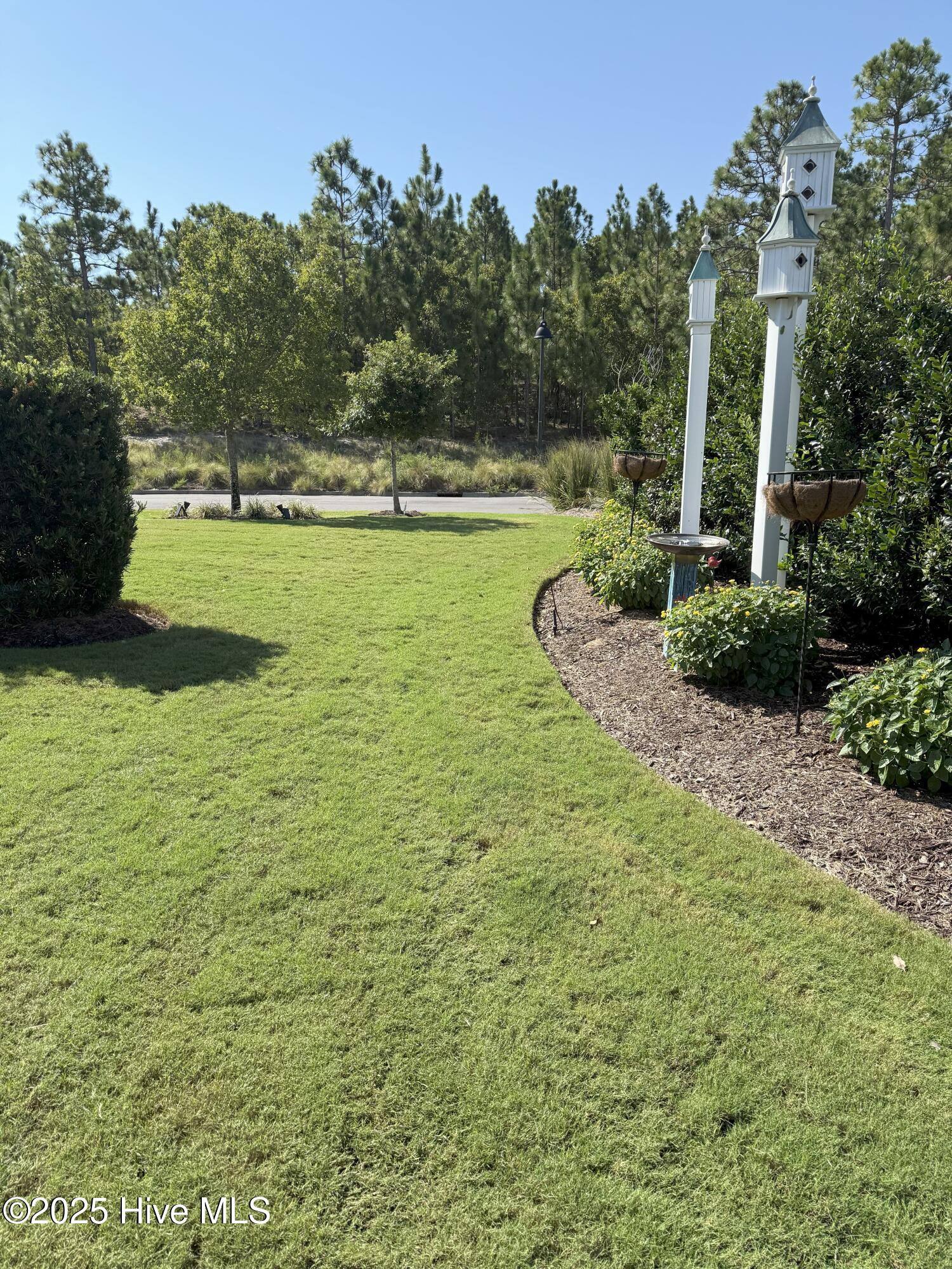 100530008 | Photo 58