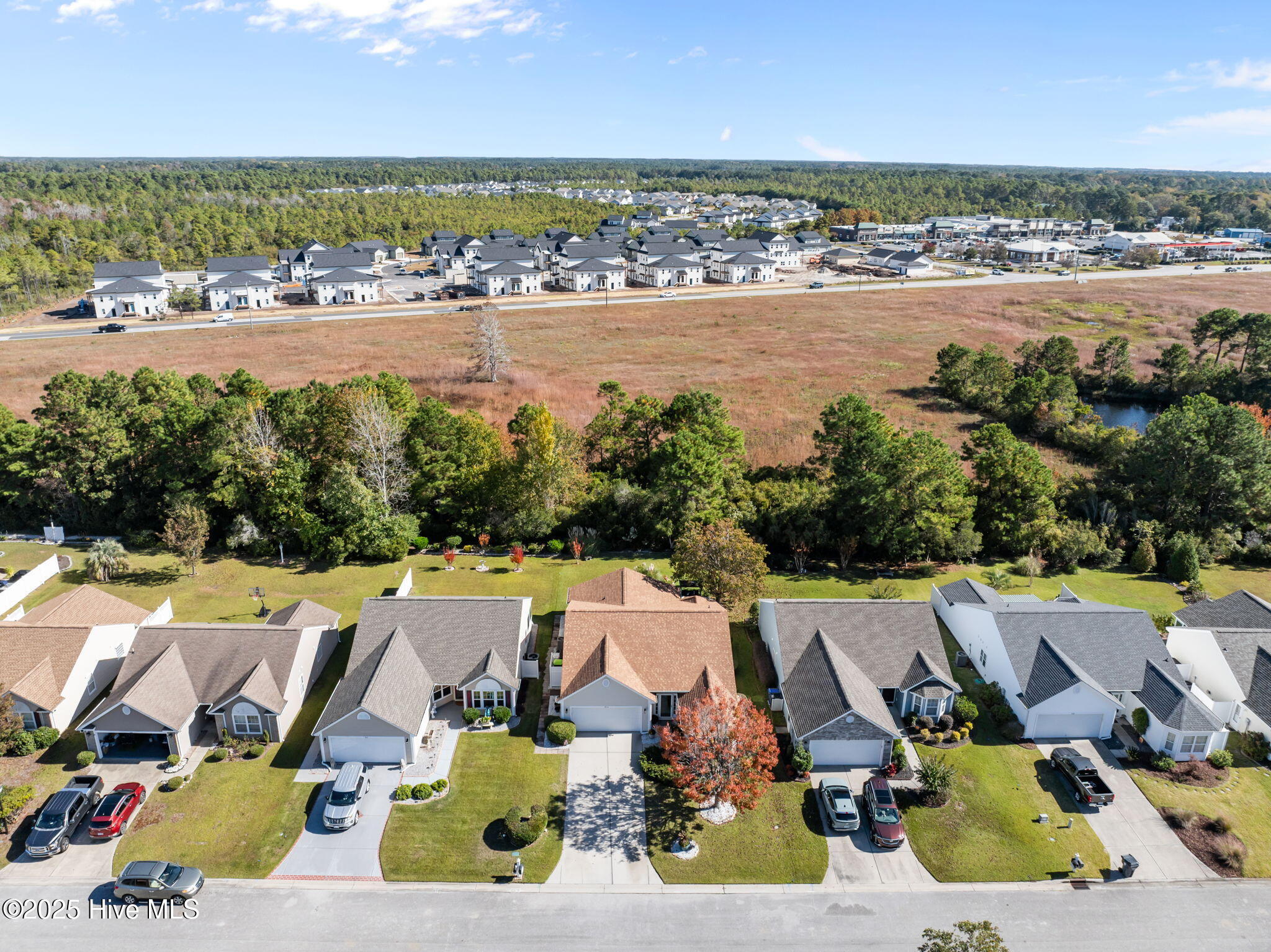 100540137 | Photo 43