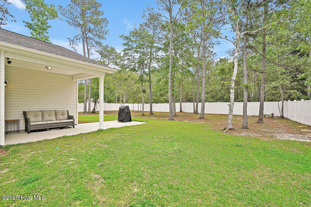 100563599 | Photo 65