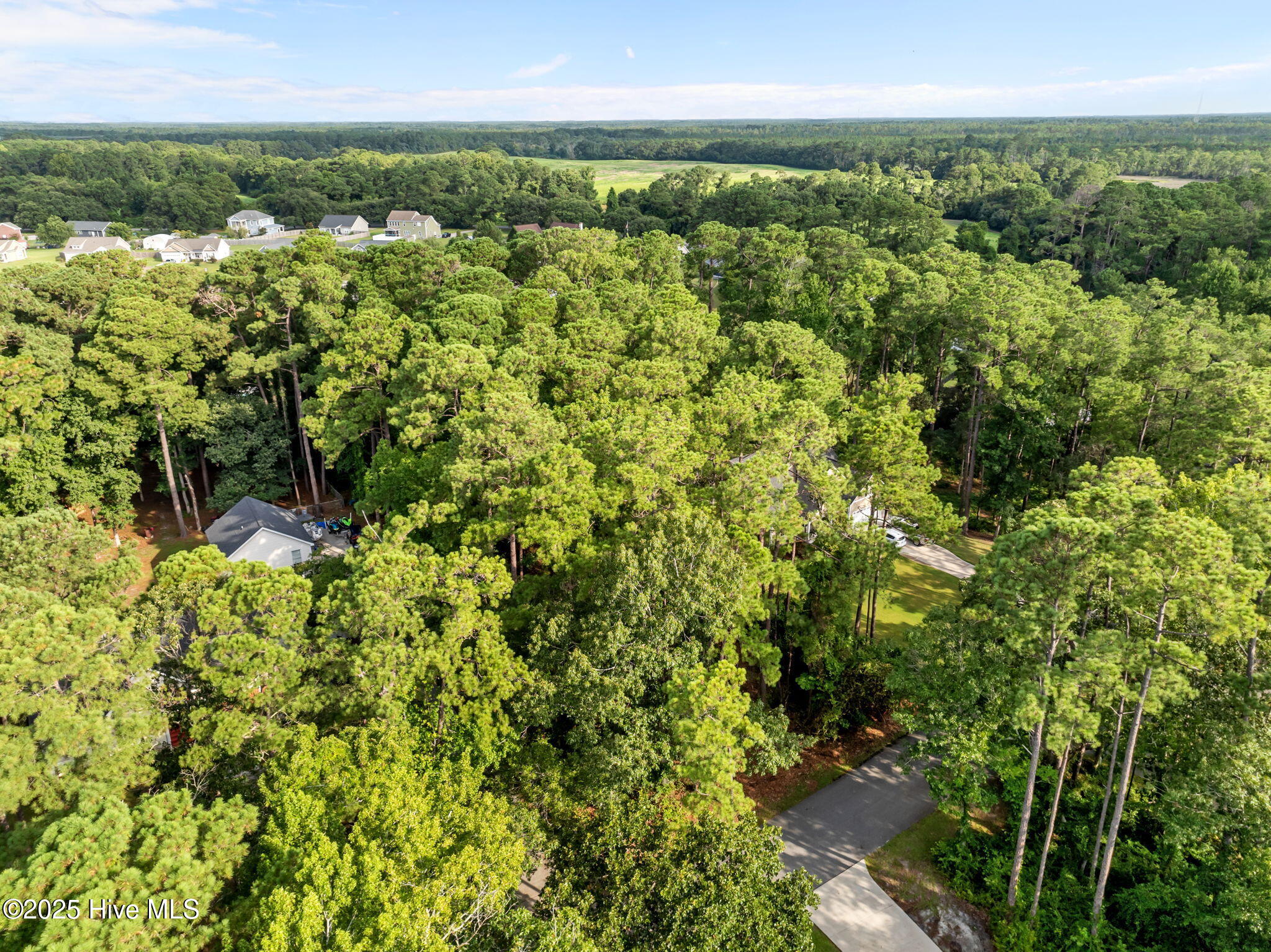 100520781 | Photo 24