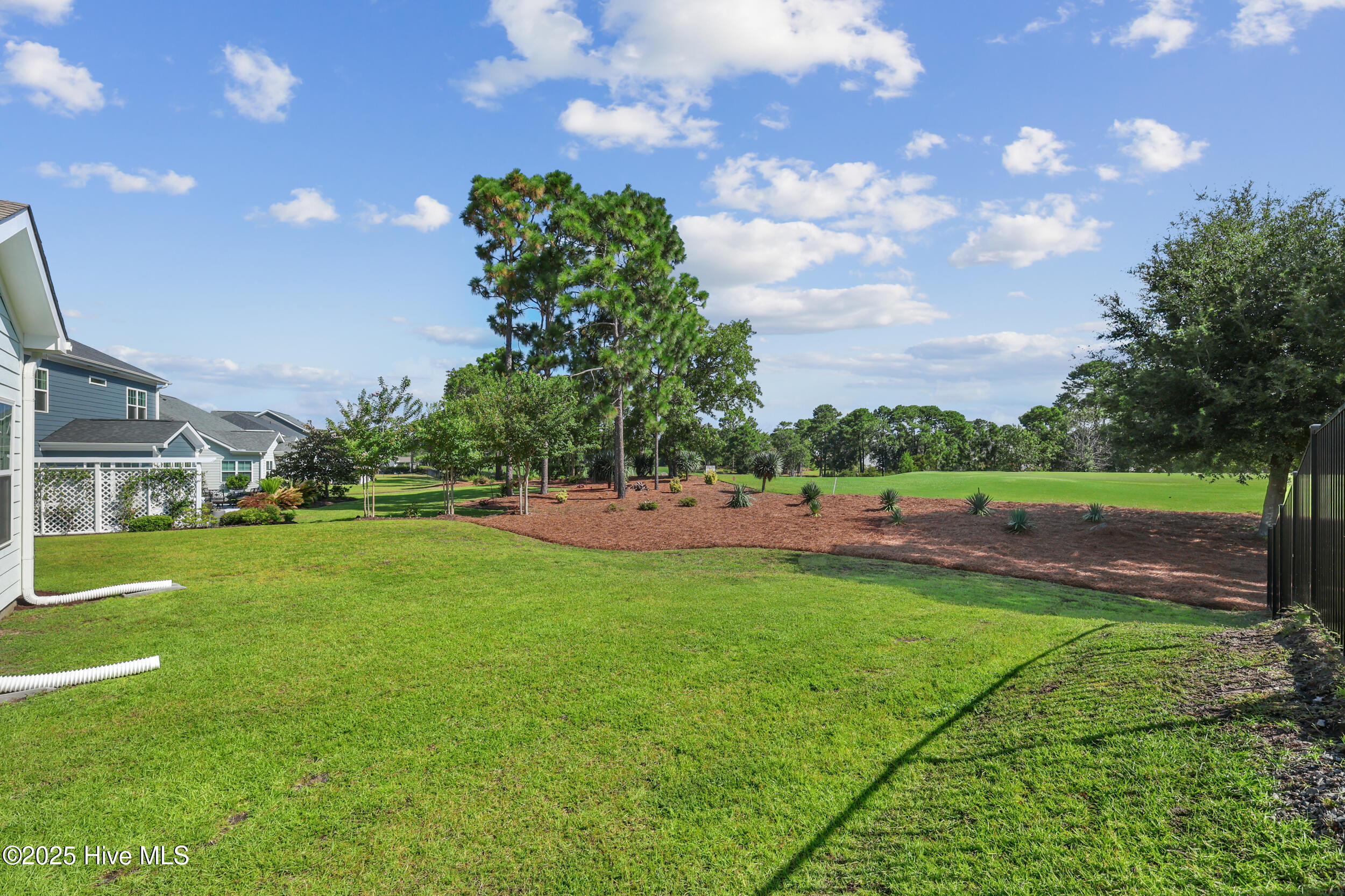 100521599 | Photo 32