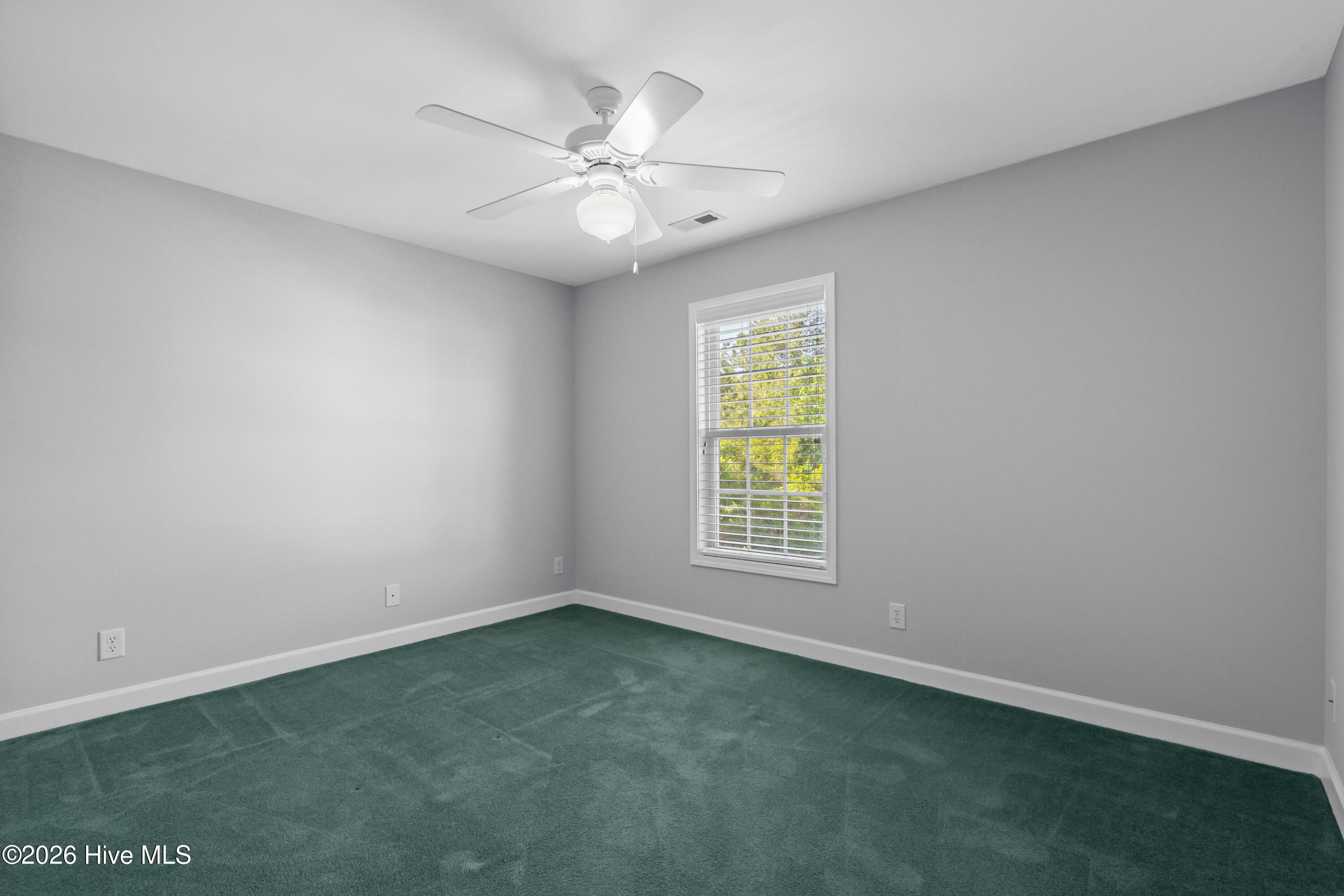 100567546 | Photo 23