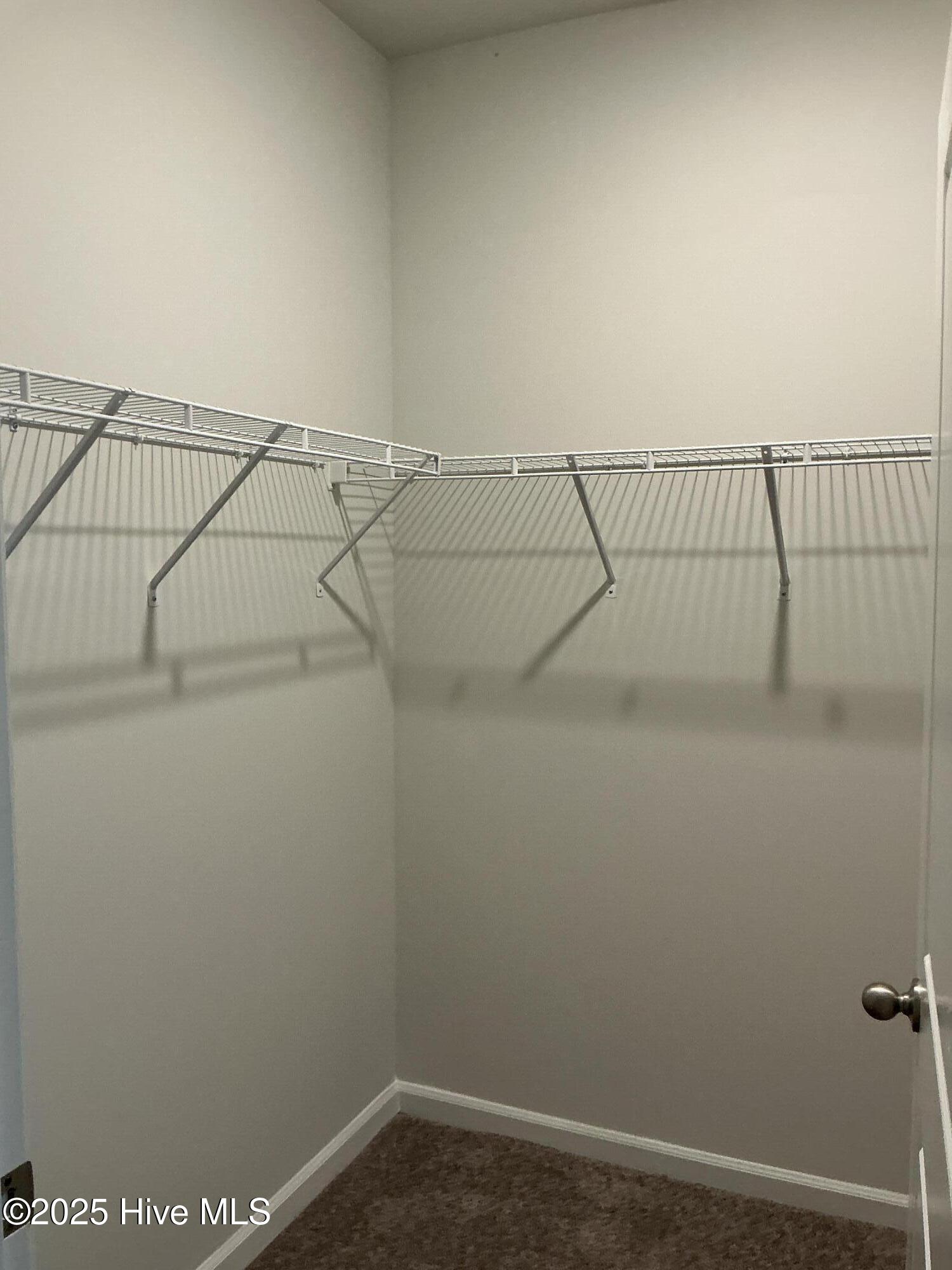 100524327 | Photo 21