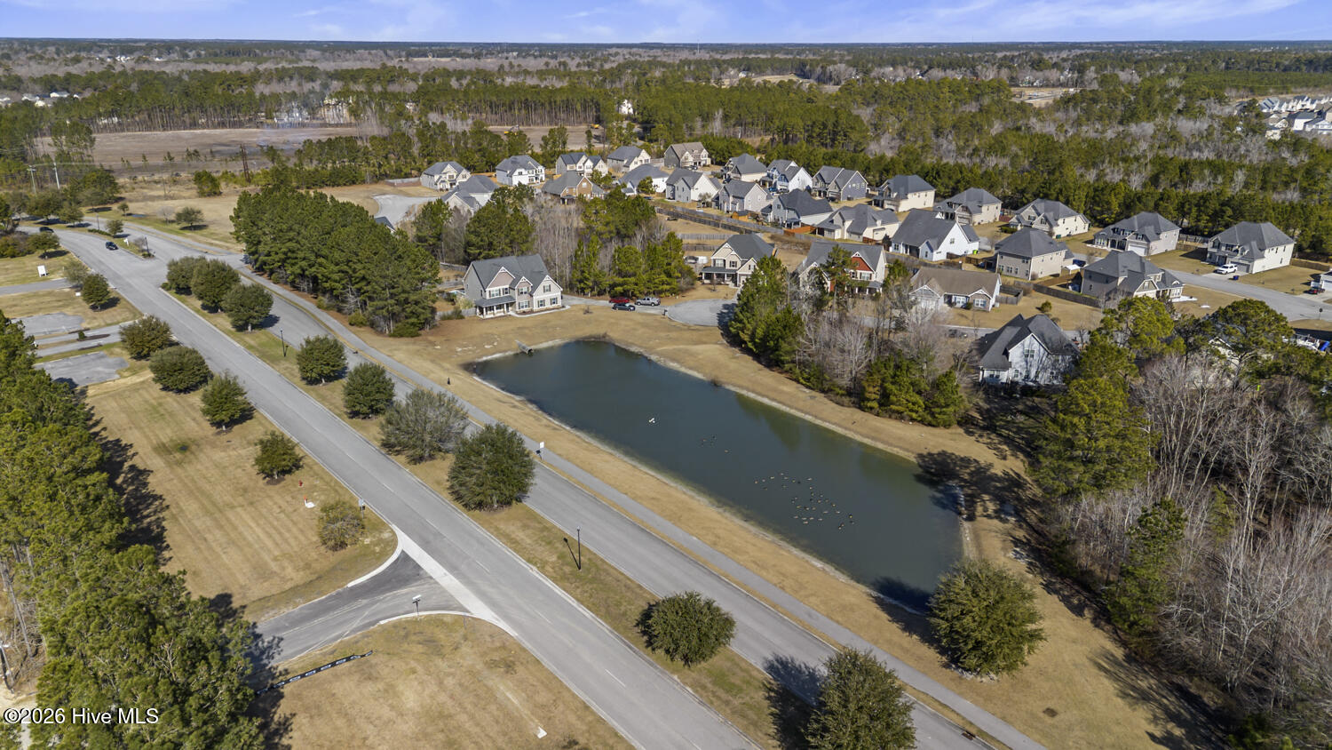 100552238 | Photo 53