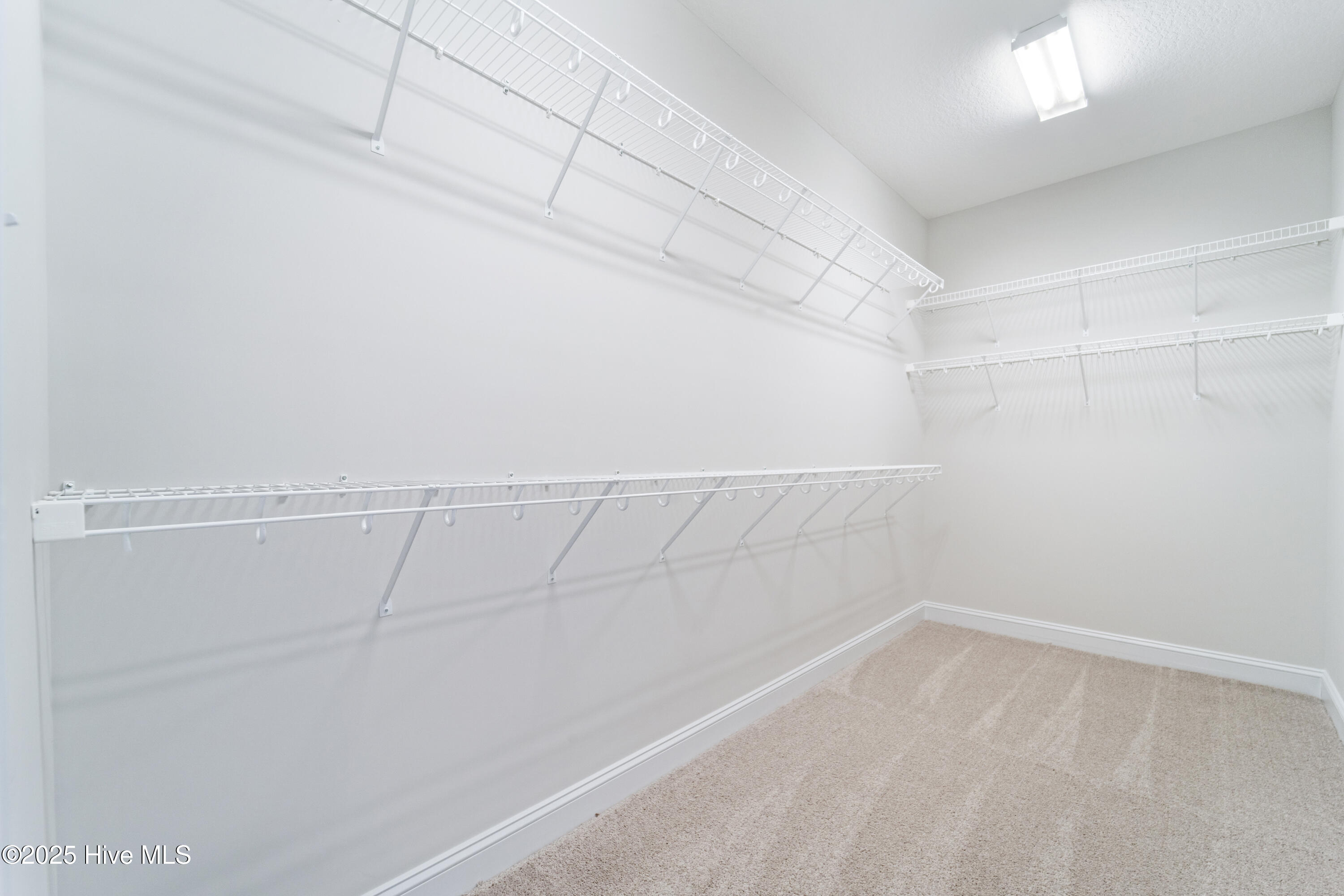 100525564 | Photo 21